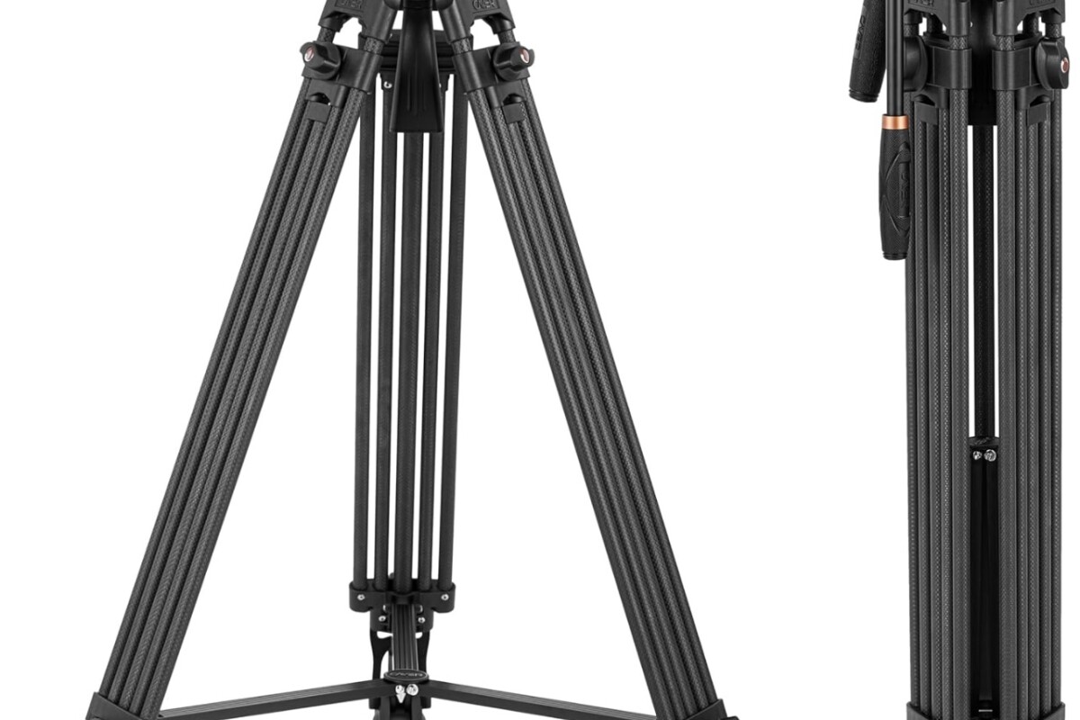 Location cayer BV25LH - Lightyshare