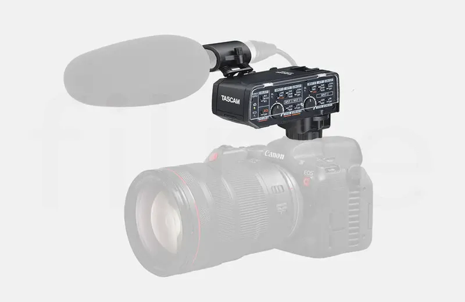 Adaptateur audio Tascam CA-XLR2D-C - Photo 1 sur 1