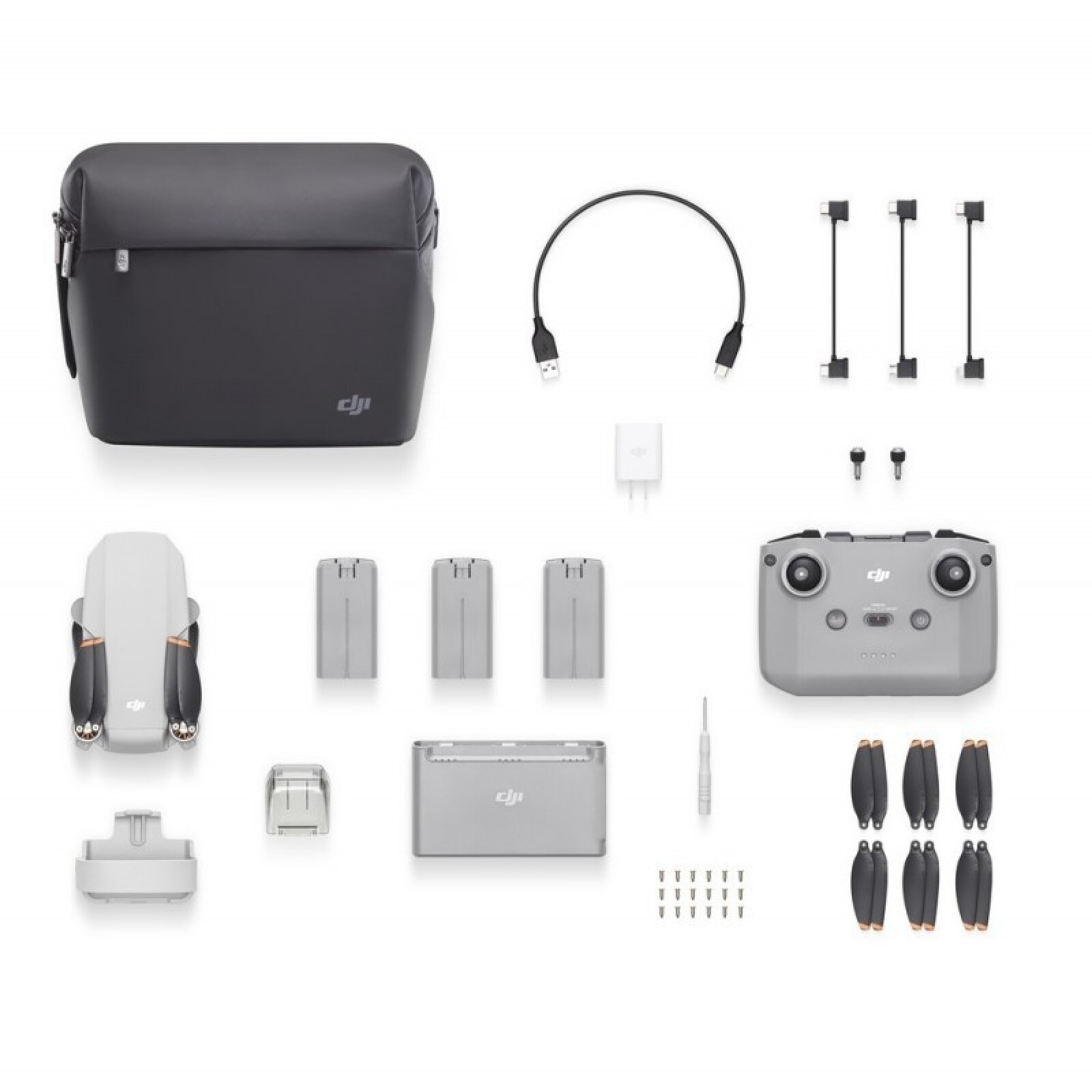 DJI Mini 2 - Photo 2 sur 4