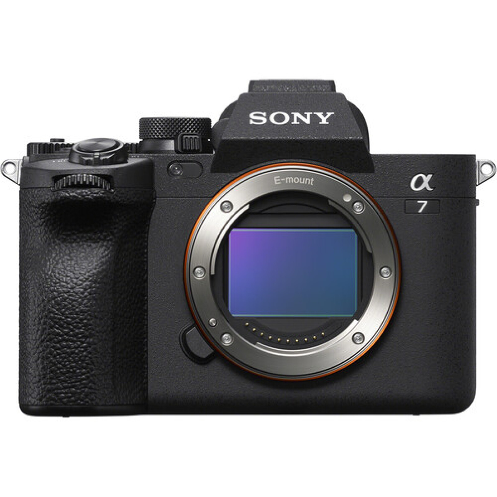 Sony Alpha 7 IV (A74) - Photo 1 sur 1