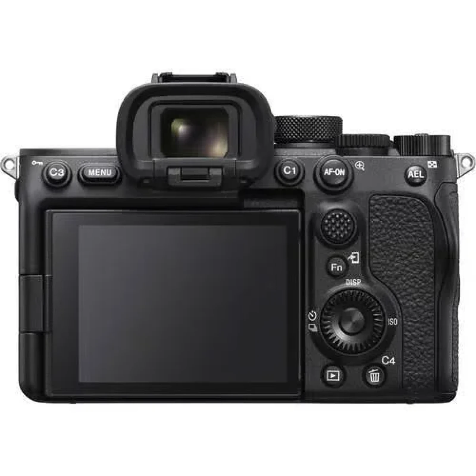 Sony Alpha 7S III - Photo 3 sur 3