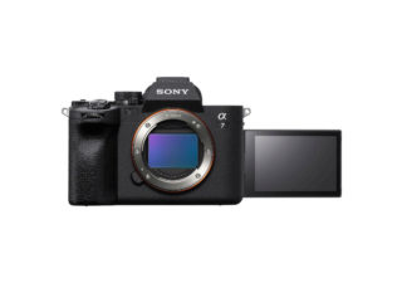 Sony Alpha 7 IV (A74) - Photo 1 sur 1