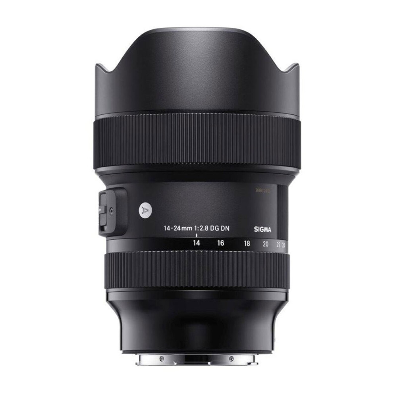 Sony Sigma 14-24mm F2.8 DG DN - Photo 1 sur 1
