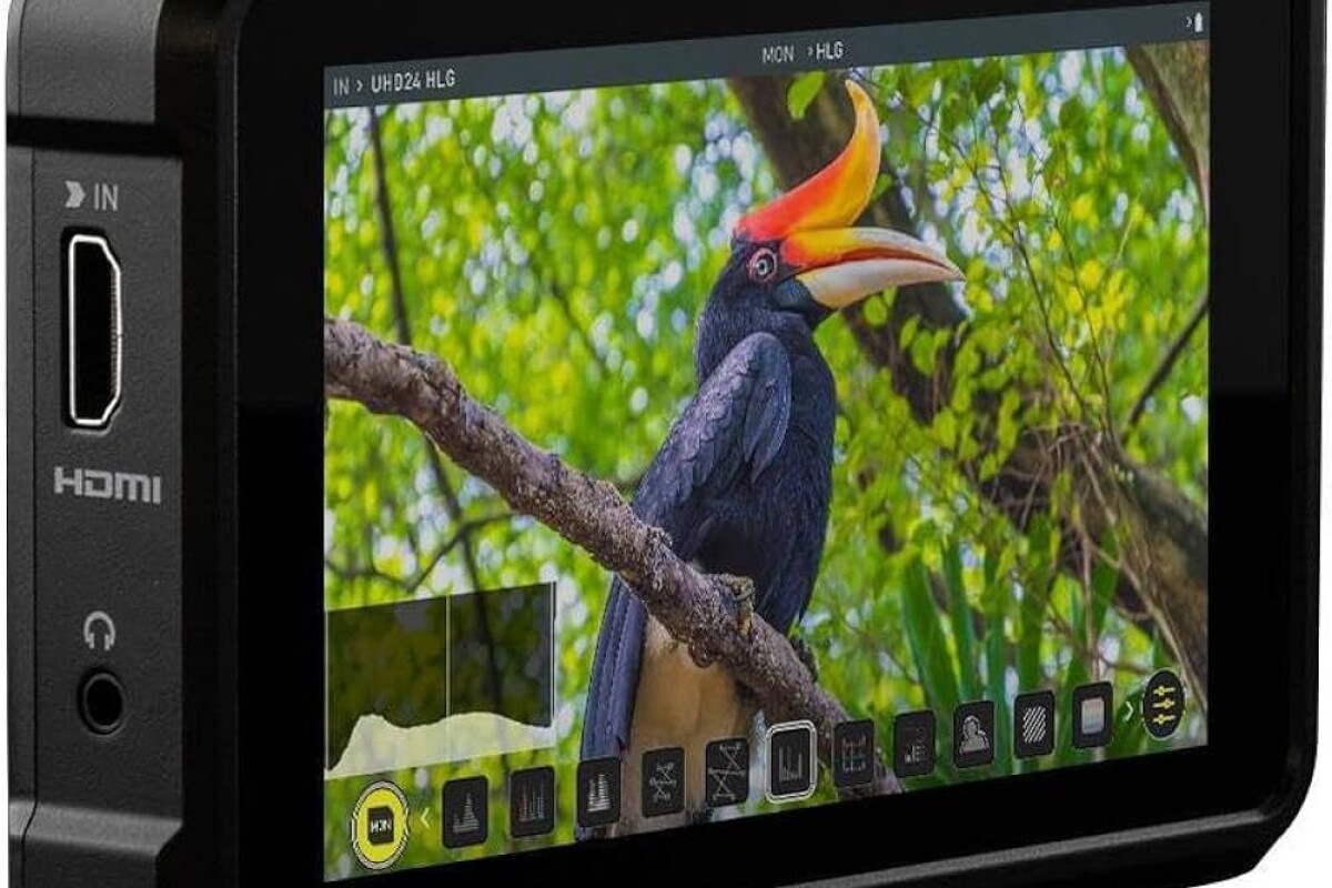 Location Atomos Shinobi - Lightyshare