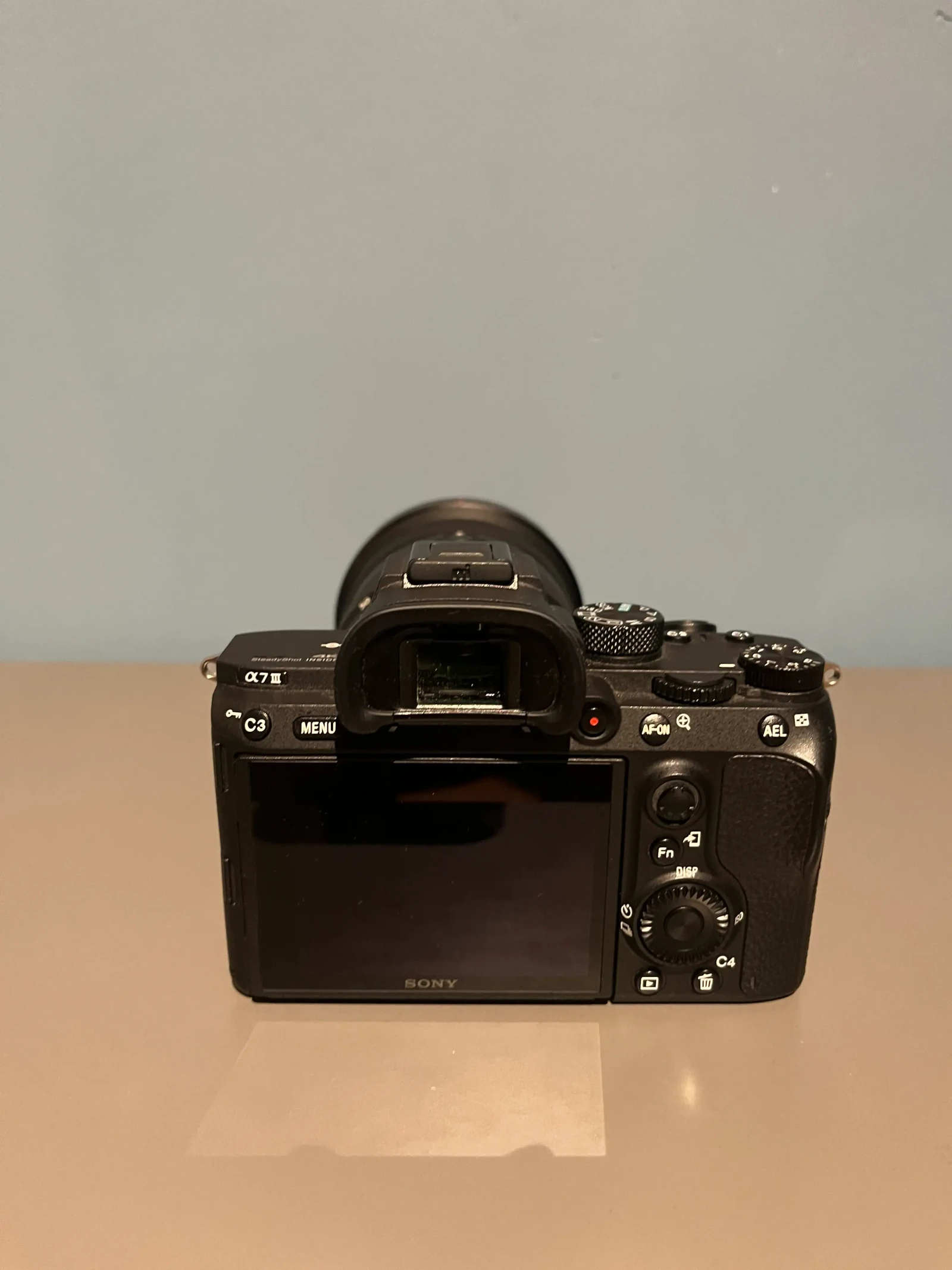 Sony Alpha 7 IV (A74) - Photo 6 sur 6
