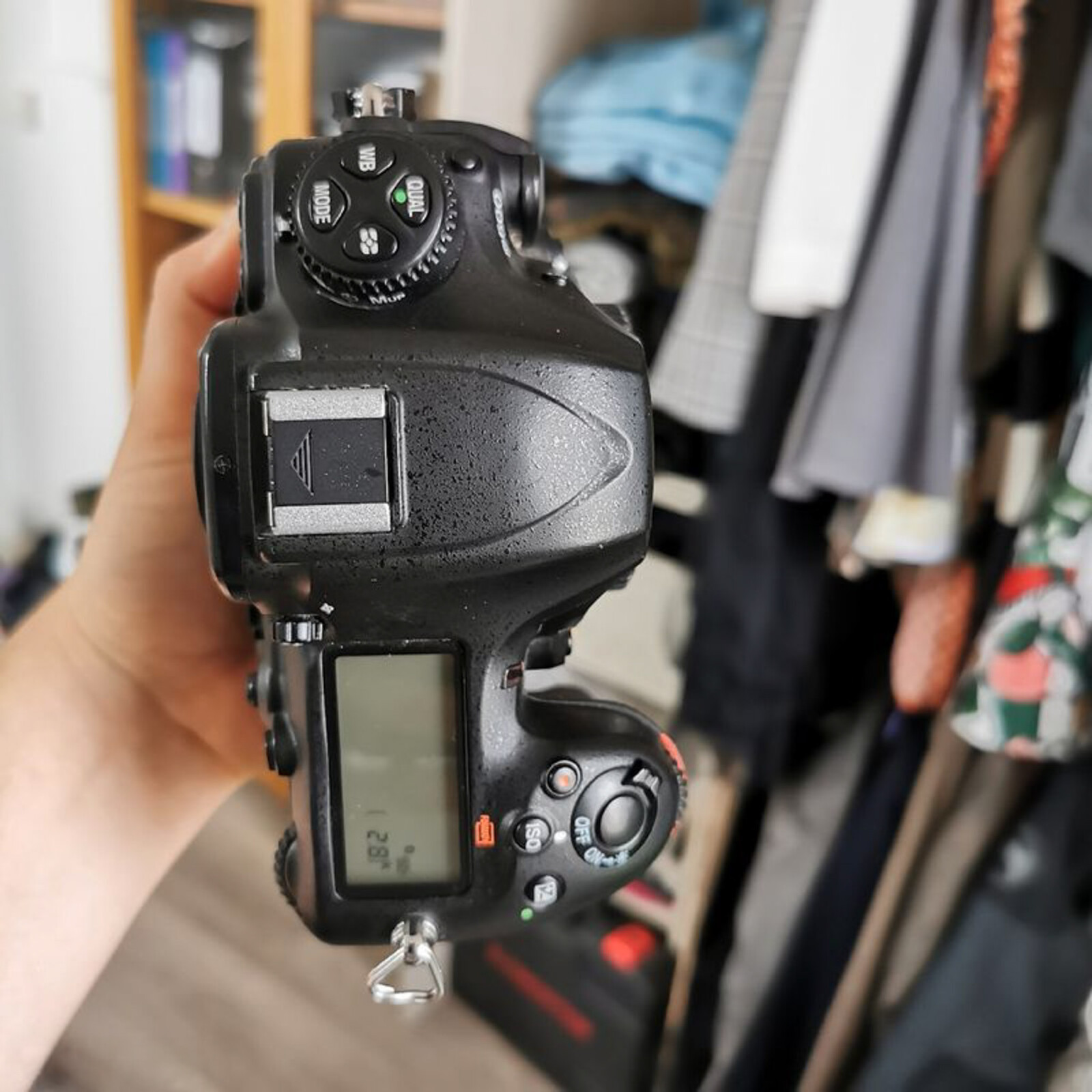 Nikon D500 - Photo 5 sur 9