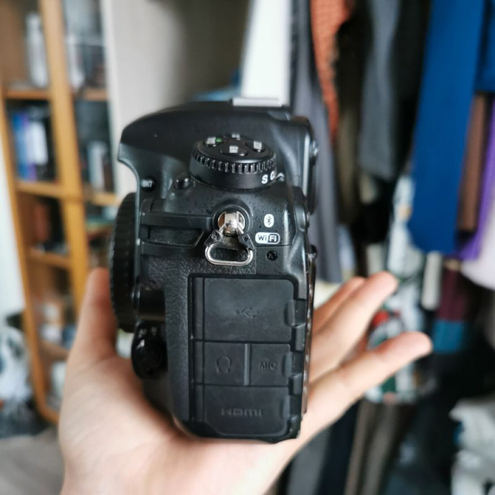 Nikon D500 - Photo 8 sur 9
