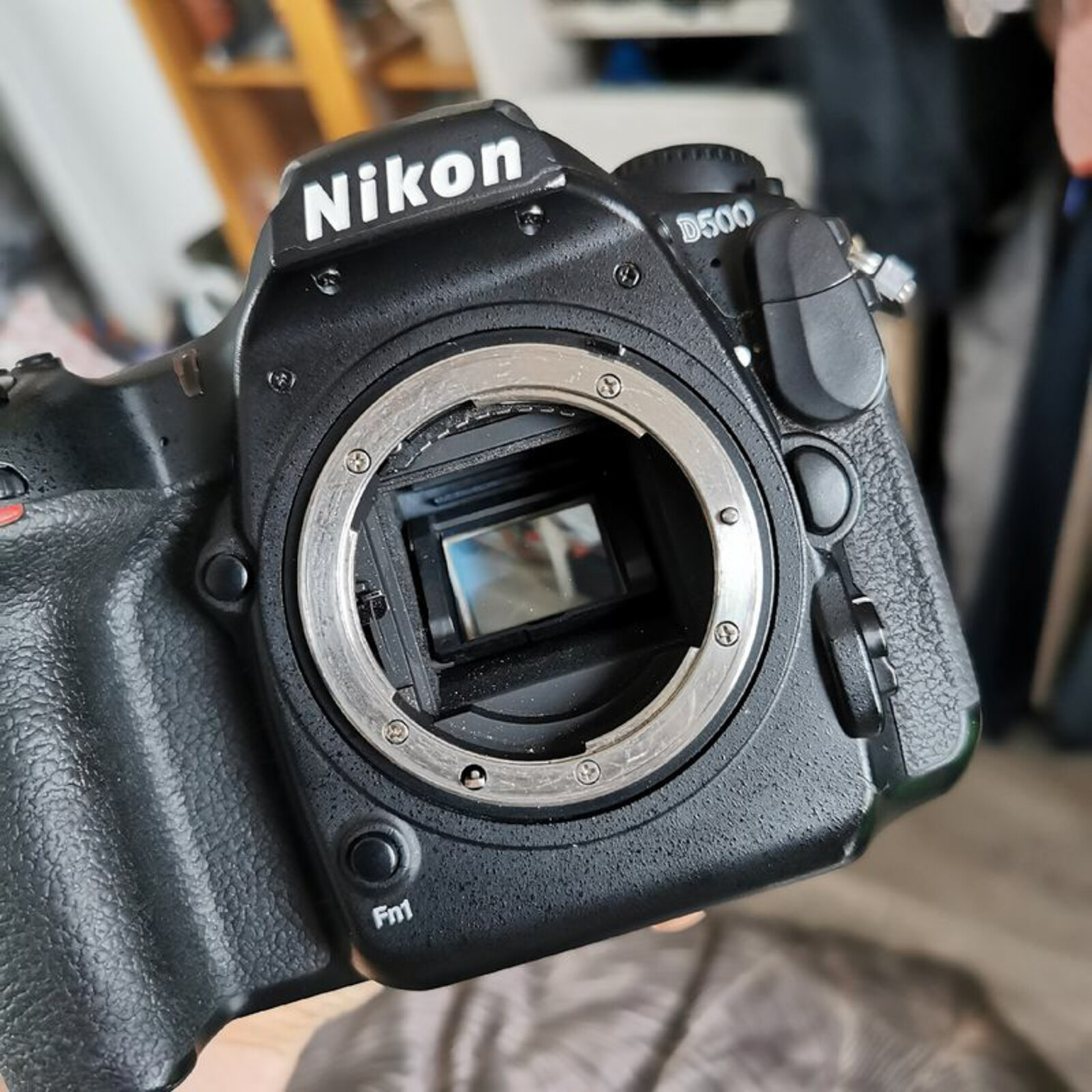 Nikon D500 - Photo 2 sur 9
