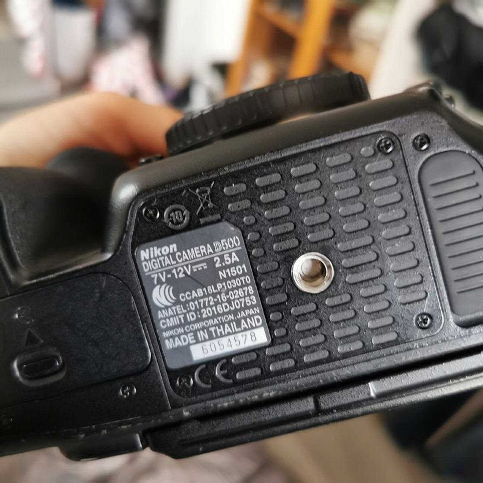 Nikon D500 - Photo 3 sur 9
