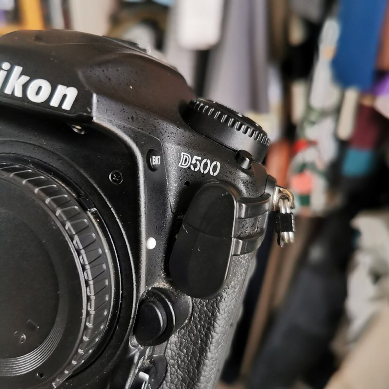 Nikon D500 - Photo 9 sur 9