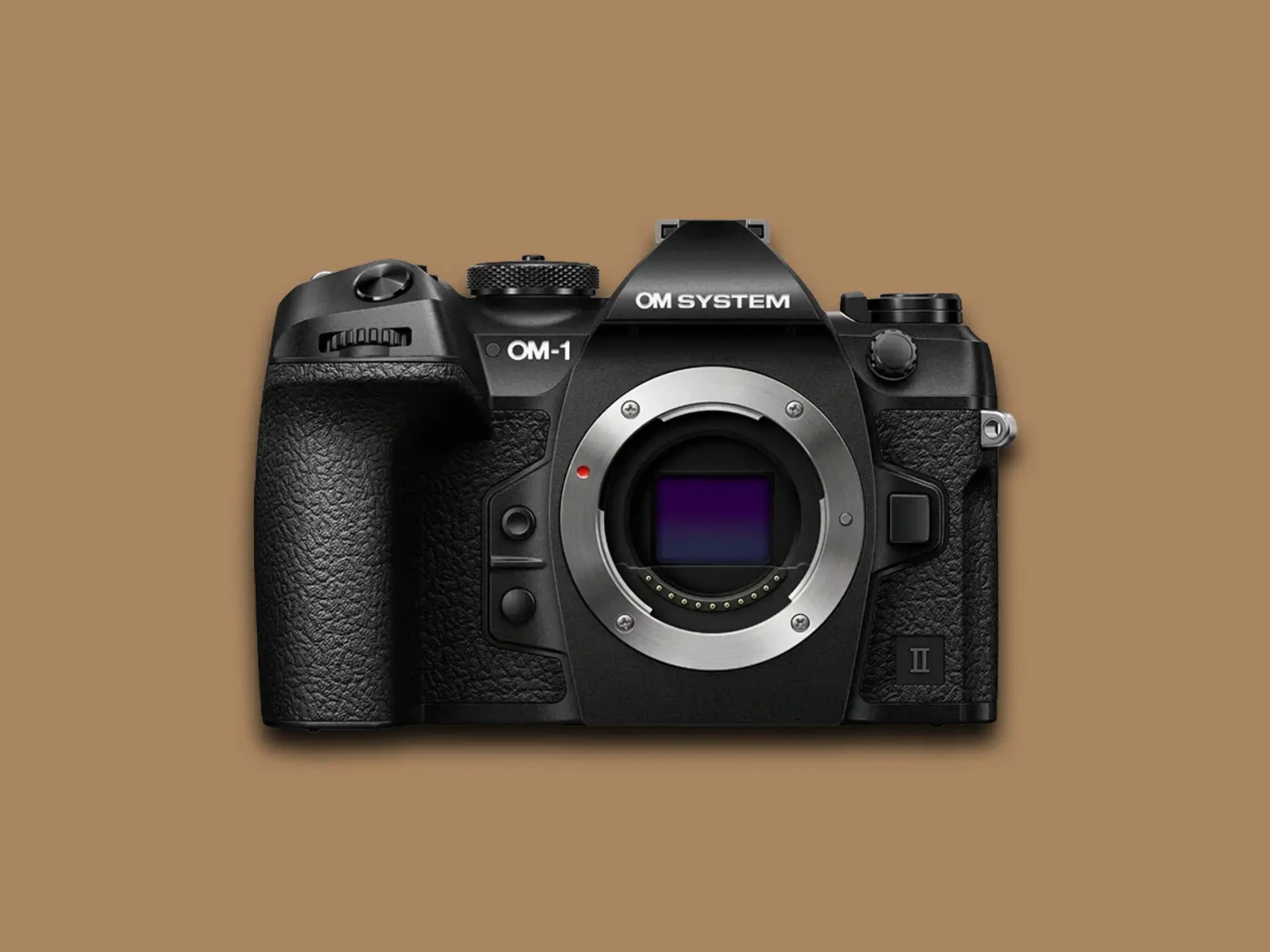 Olympus OM -1 - Photo 1 sur 1
