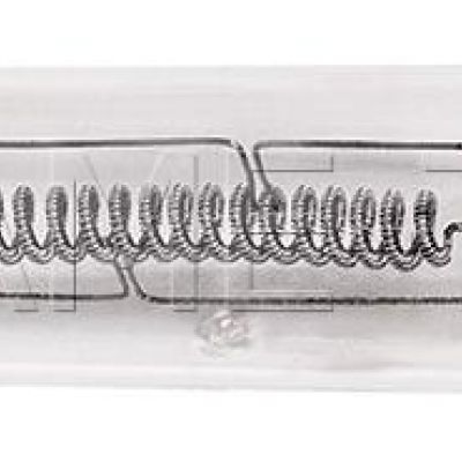 Kit de 2  lumière tungstène blonde 2000W + 2 trépied - Photo 5 sur 5