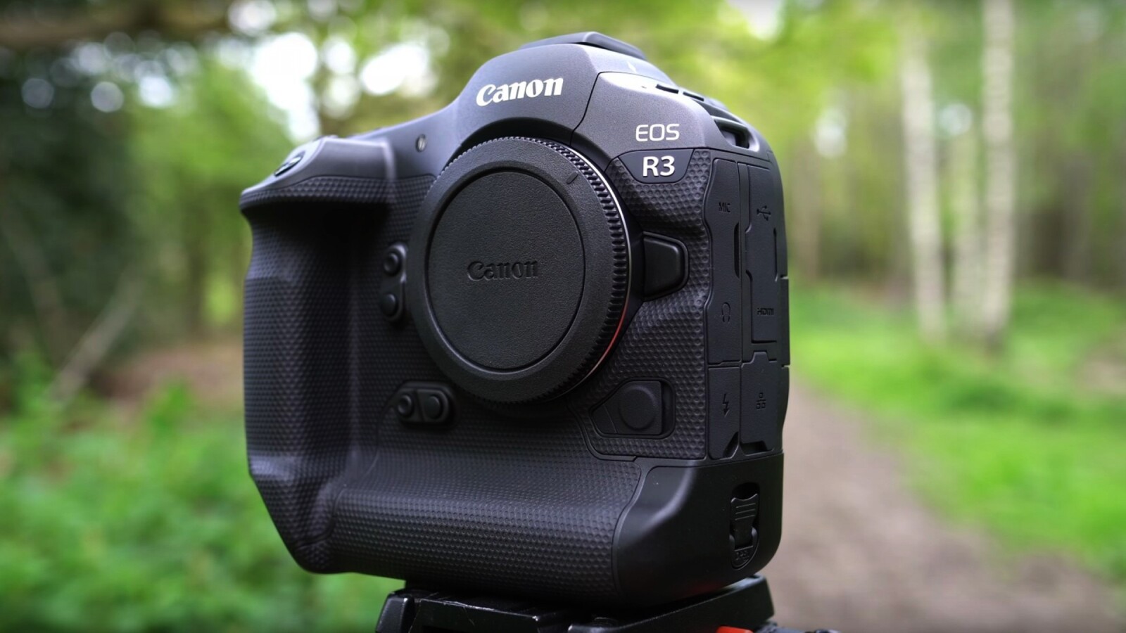 Canon R3 - Photo 1 sur 1