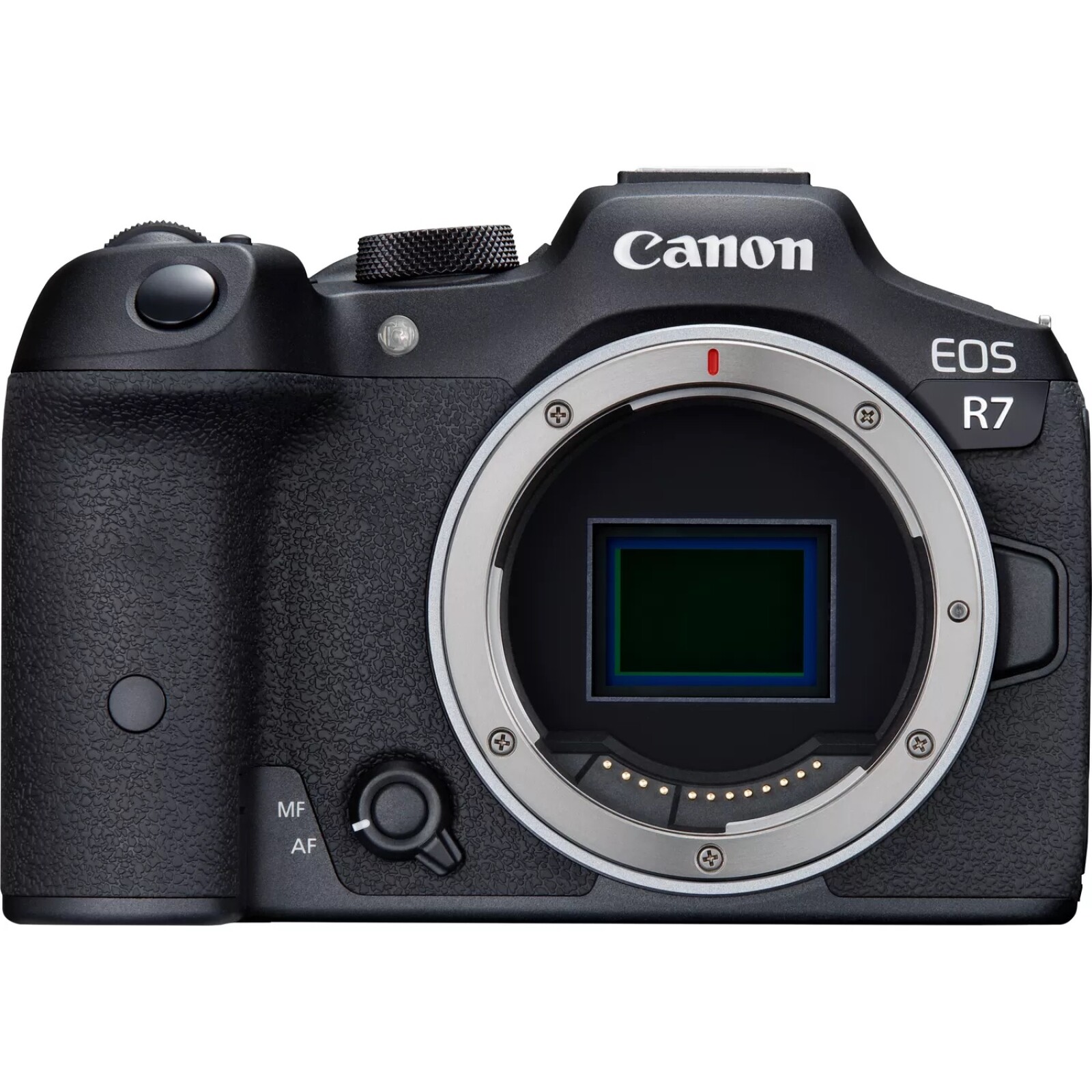 Canon EOS R7 - Photo 1 sur 1
