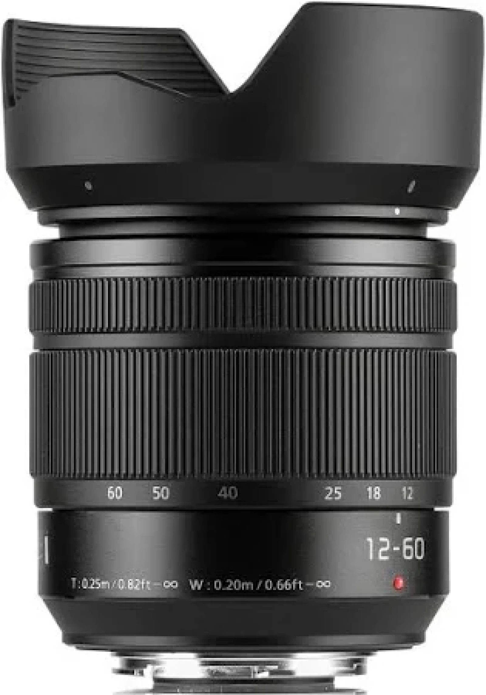 Panasonic LUMIX G VARIO 12-60mm / F3.5-5.6 ASPH. / POWER O.I.S. - Photo 2 sur 3