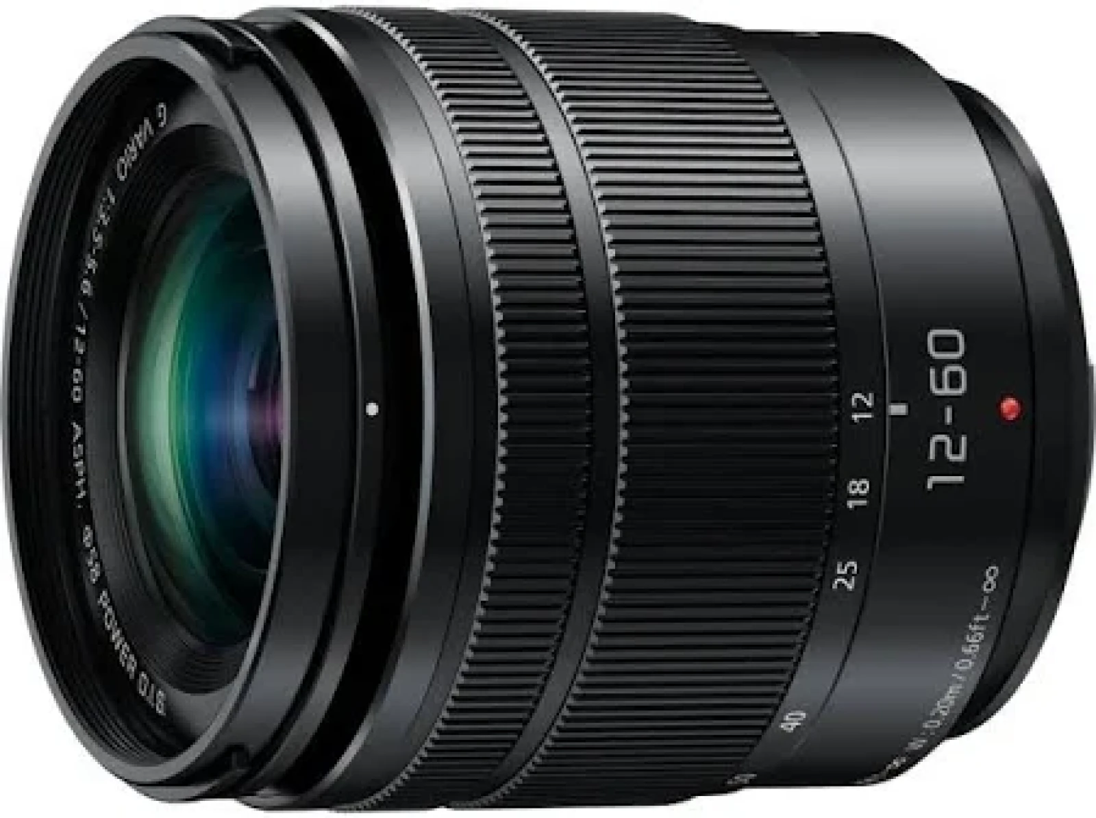 Panasonic LUMIX G VARIO 12-60mm / F3.5-5.6 ASPH. / POWER O.I.S. - Photo 1 sur 3