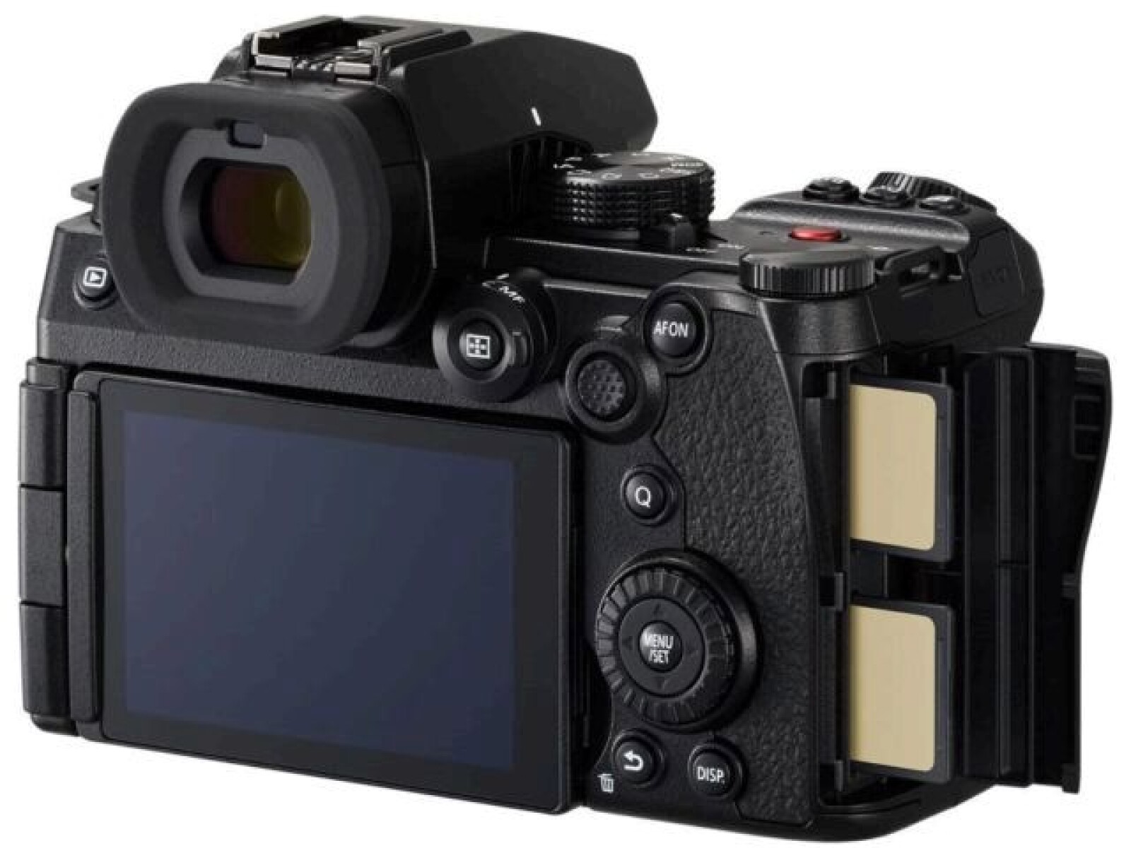 Panasonic Lumix S5 IIx - Photo 2 sur 3
