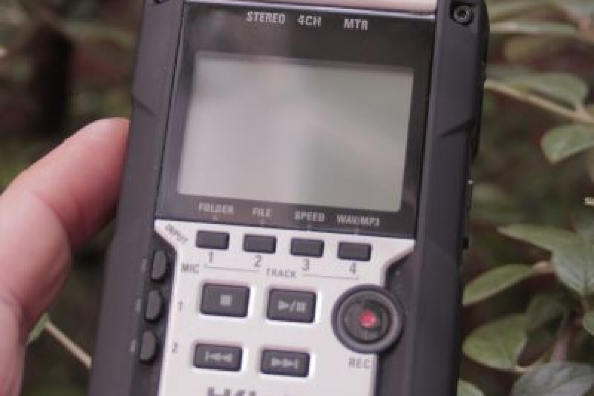 Location ZOOM H4N PRO - Lightyshare