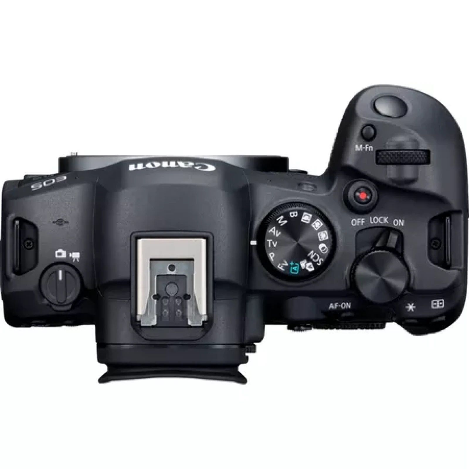 Canon R6 Mark II - Photo 2 sur 5