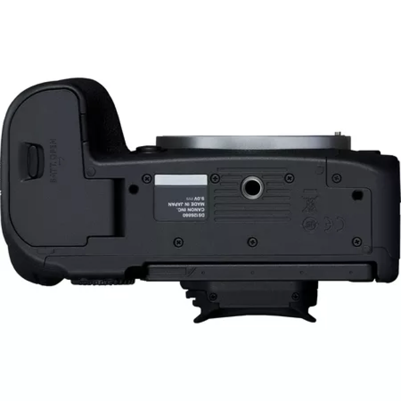 Canon R6 Mark II - Photo 3 sur 5