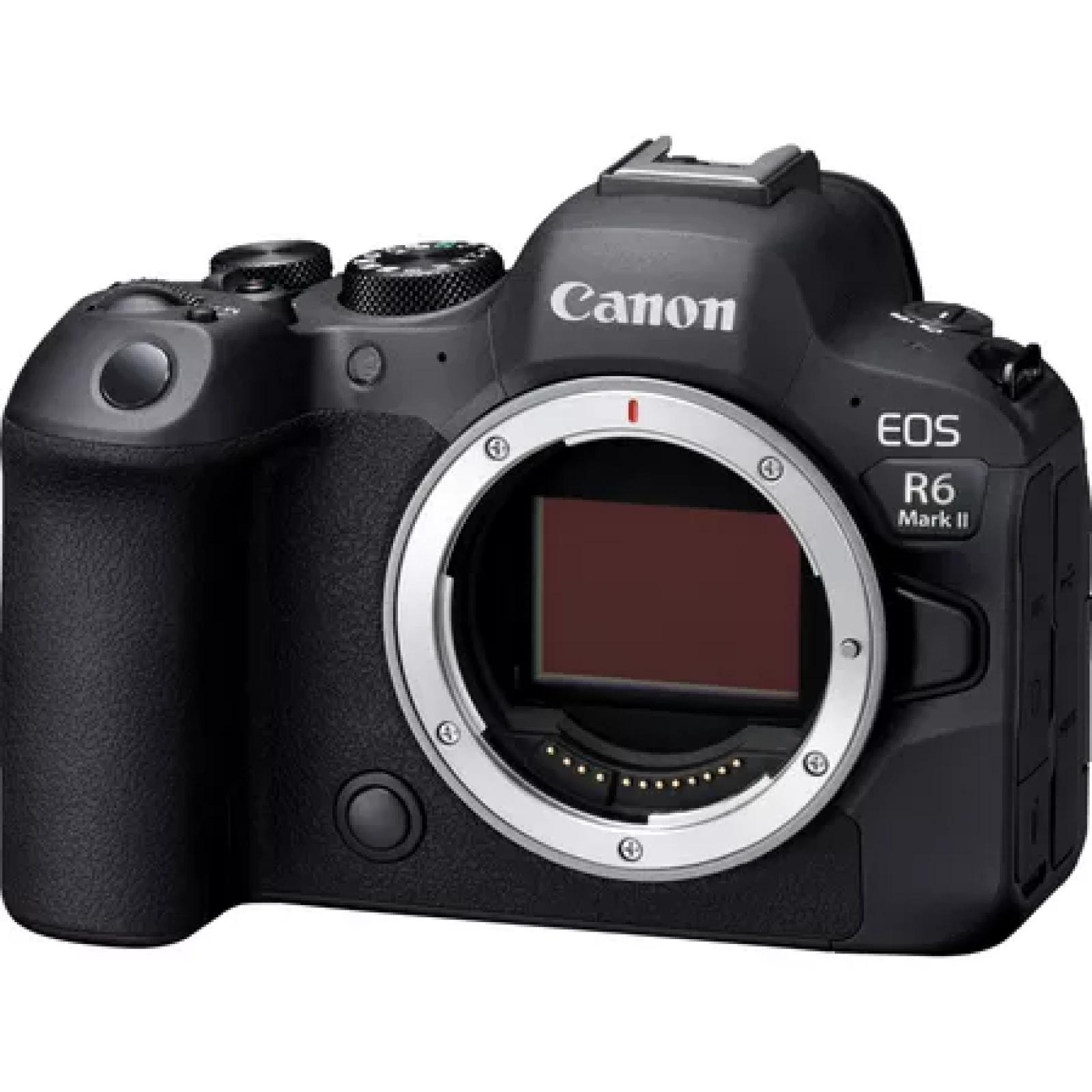 Canon R6 Mark II - Photo 1 sur 5