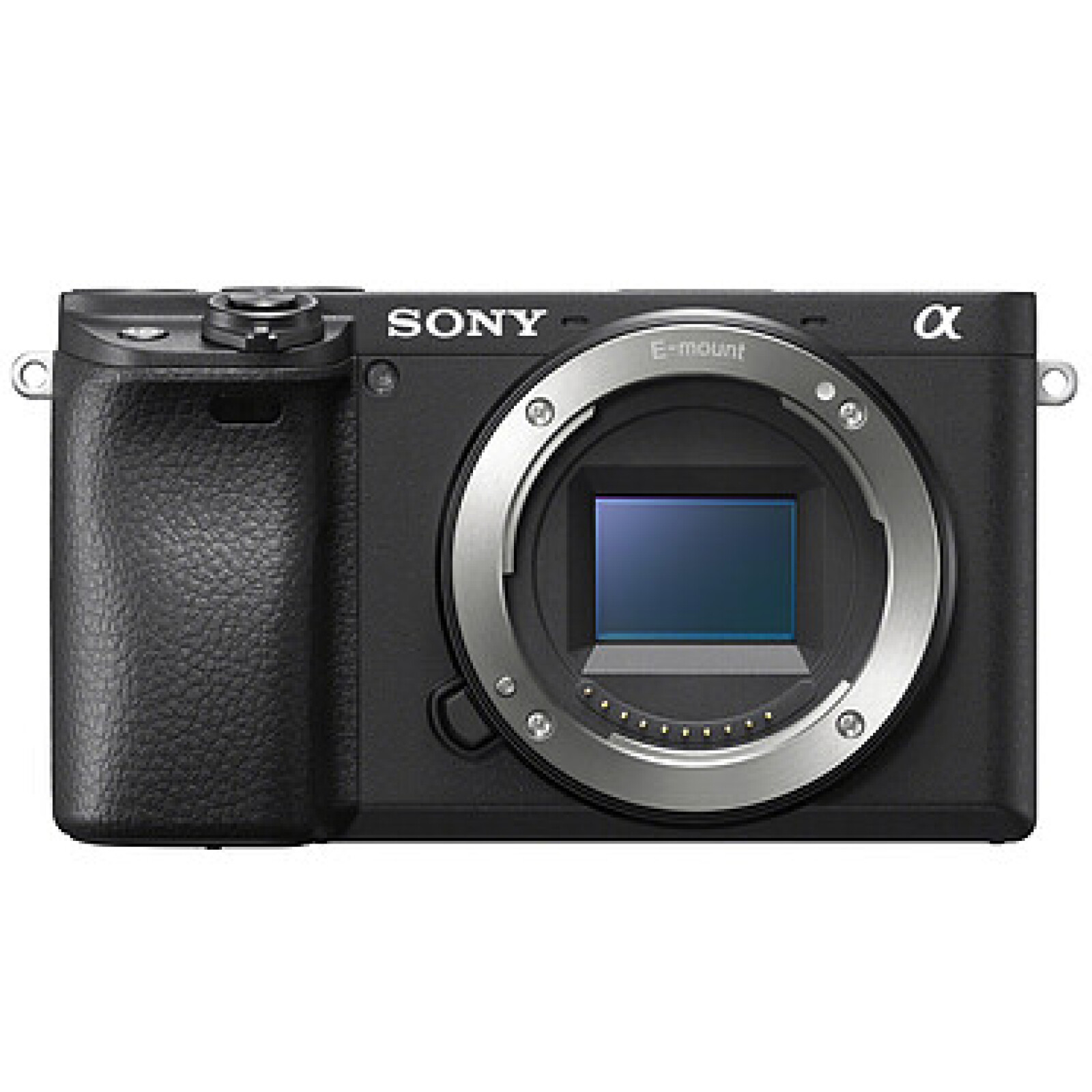 Sony Alpha 6400 - Photo 1 sur 1
