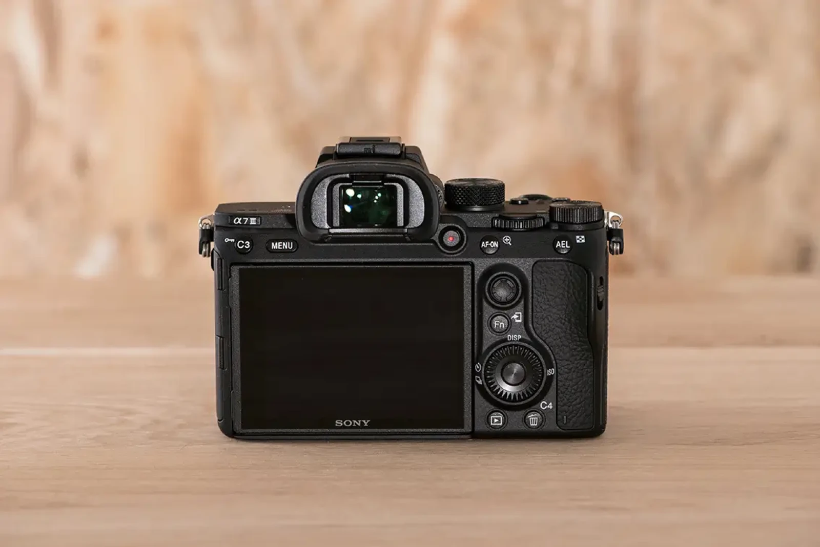 Sony Alpha 7 III (A73) - Photo 2 sur 4