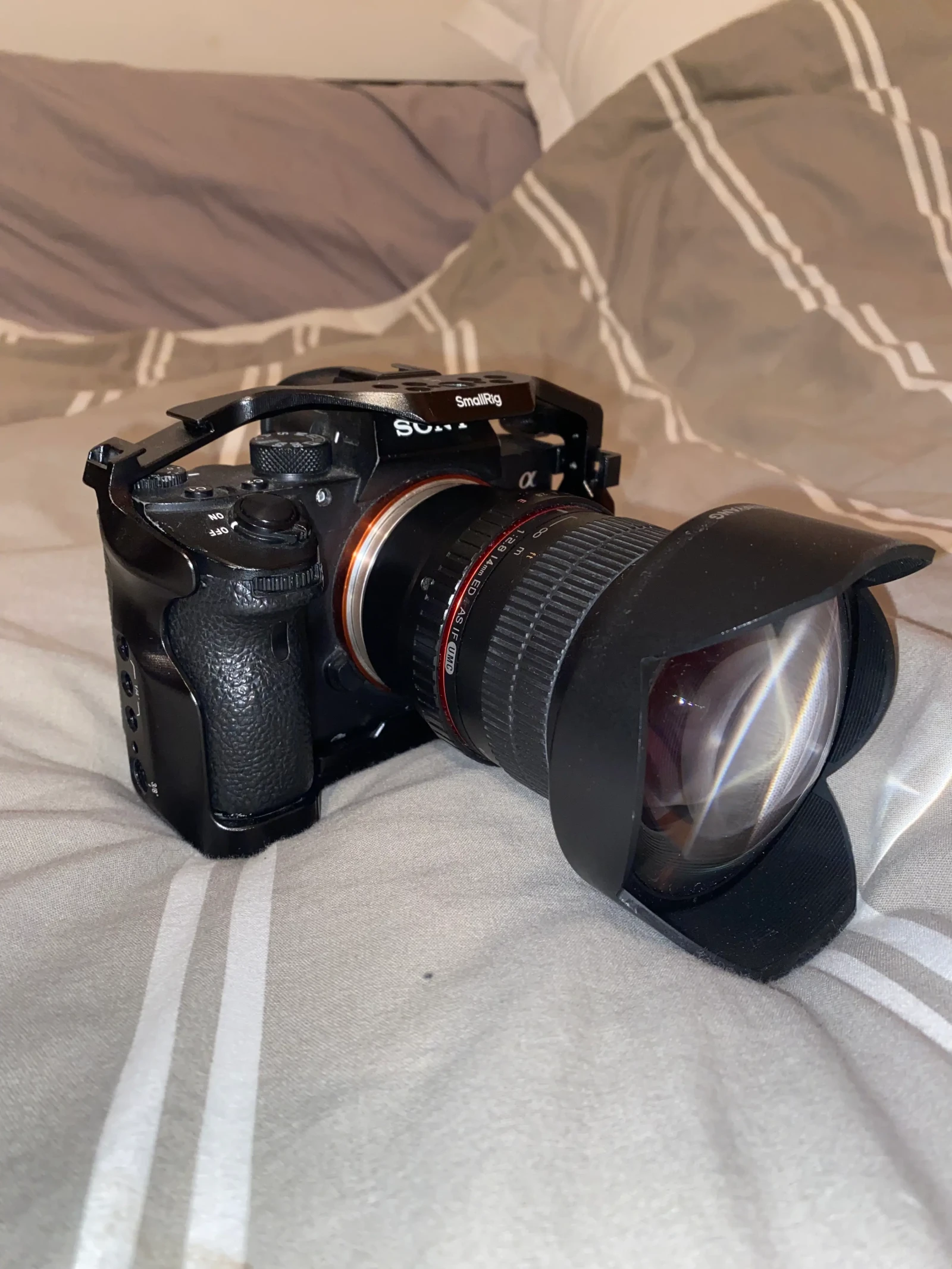 SONY A7III - Photo 1 sur 1