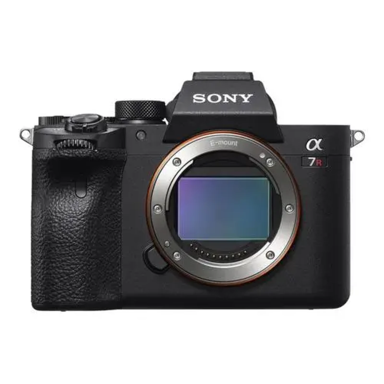 Sony Alpha 7R IV (A7R4) - Photo 1 sur 1