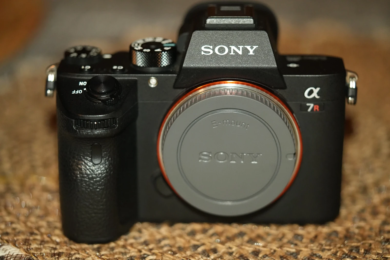Sony Alpha 7R III (A7R3) - Photo 2 sur 7
