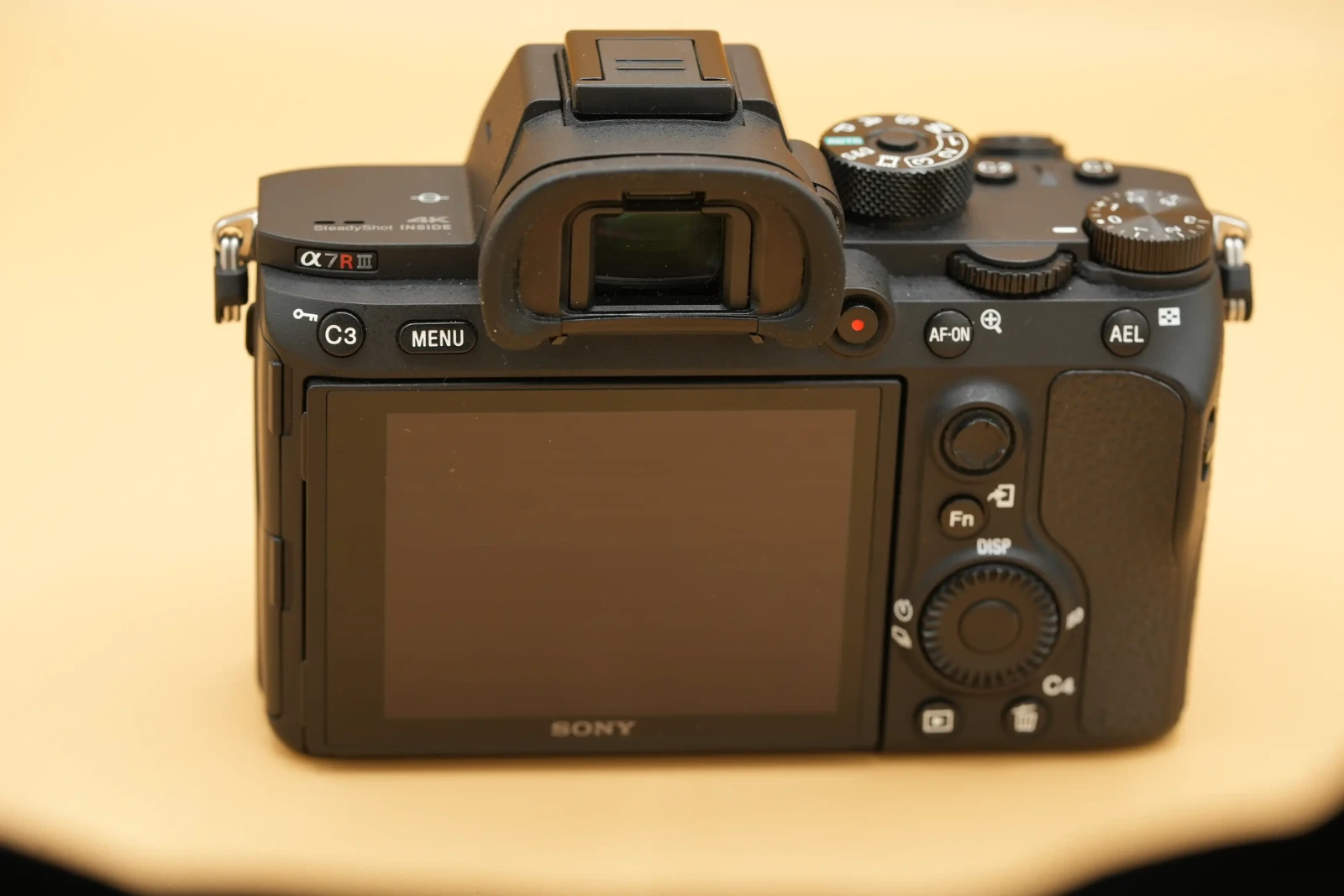 Sony Alpha 7R III (A7R3) - Photo 7 sur 7