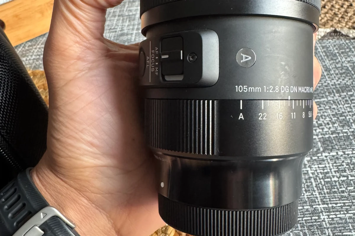 Location Sigma 105mm F2.8 DG DN MACRO Art FE - Lightyshare