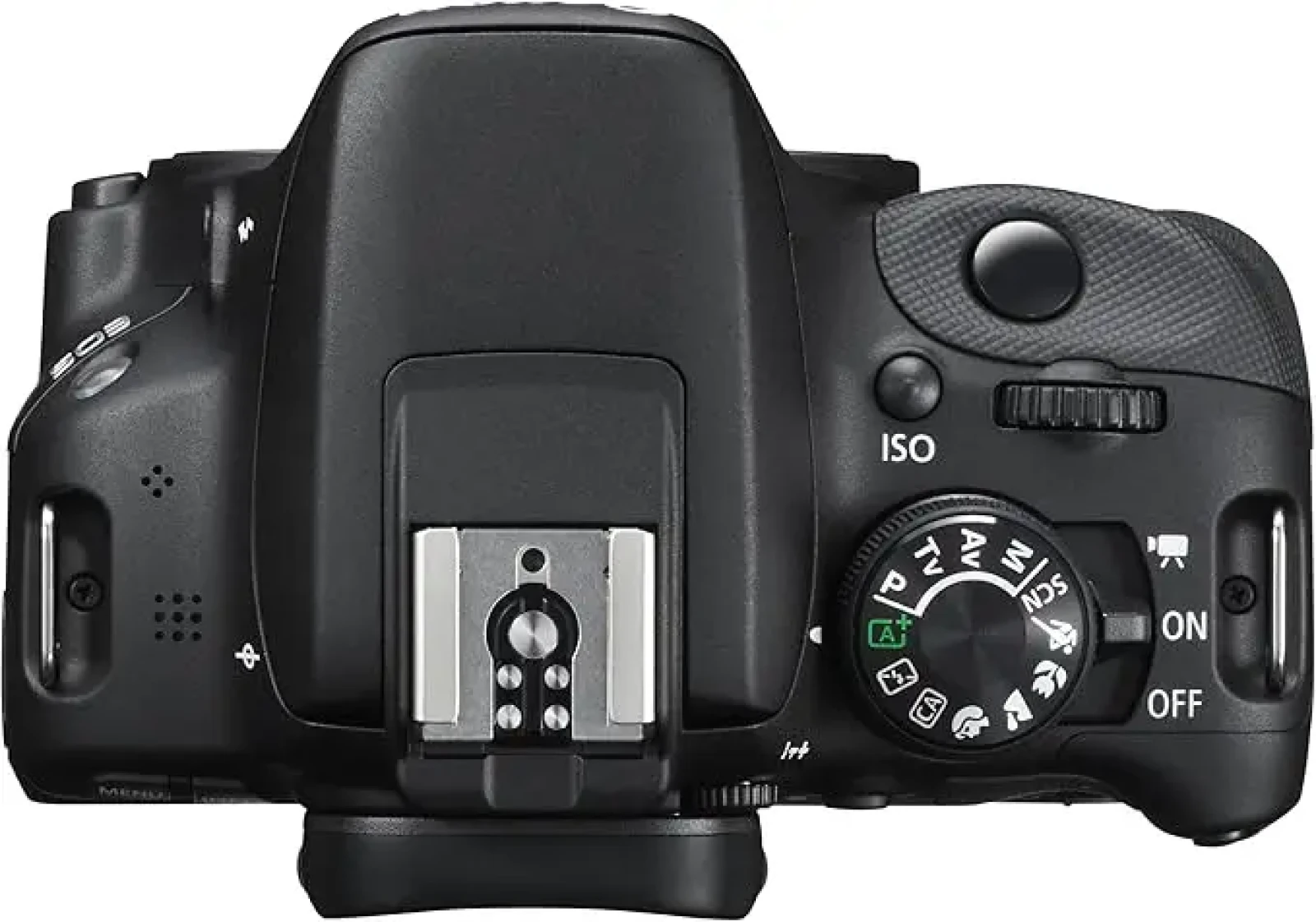 Canon EOS 100D - Photo 3 sur 5
