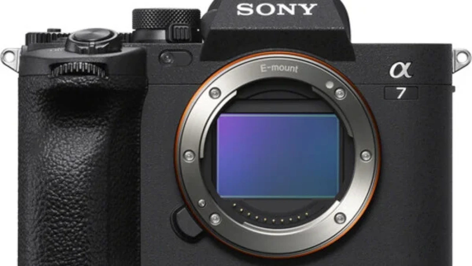 Sony Alpha 7 IV (A74) - Photo 2 sur 2