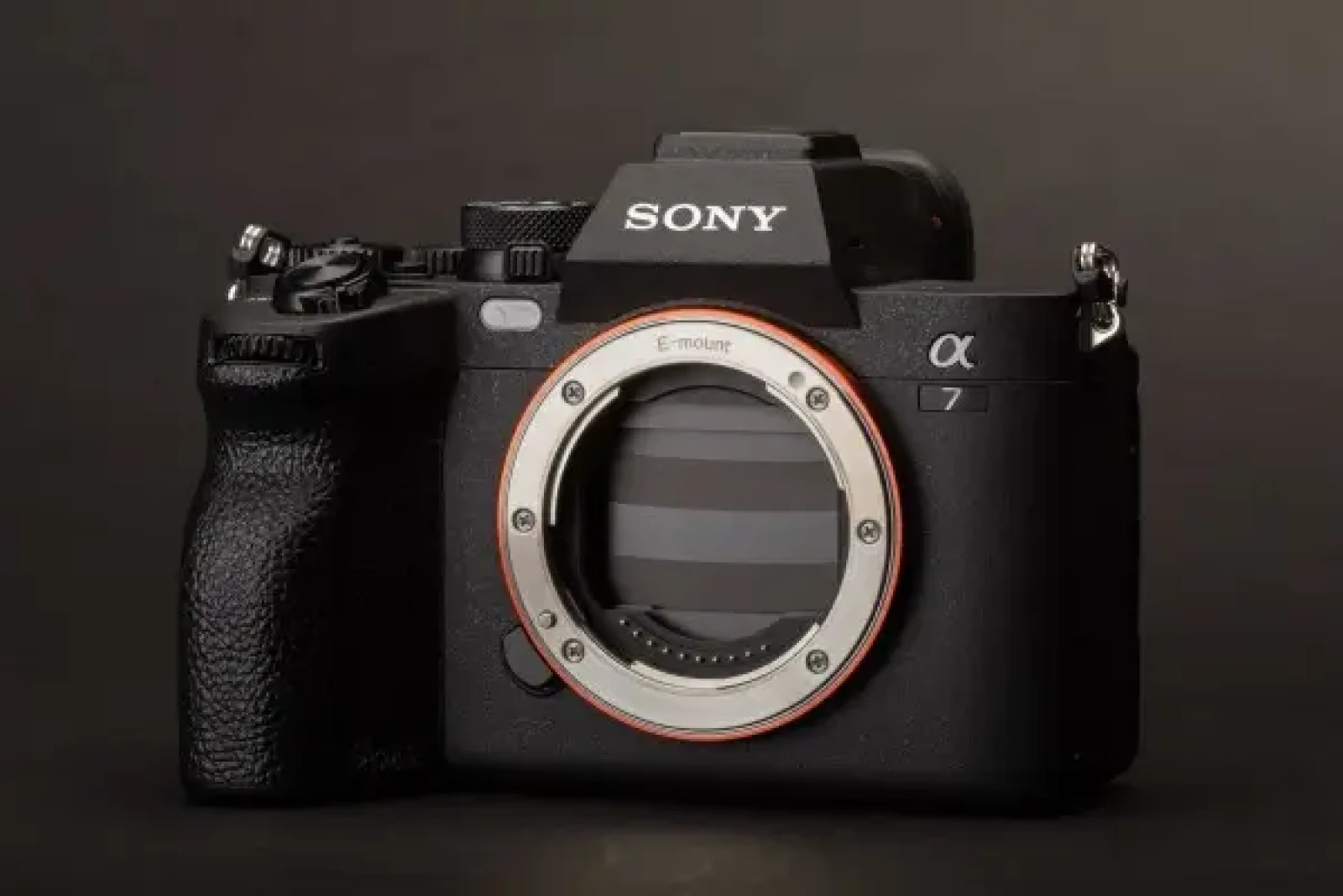 Sony Alpha 7IV - Photo 1 sur 1