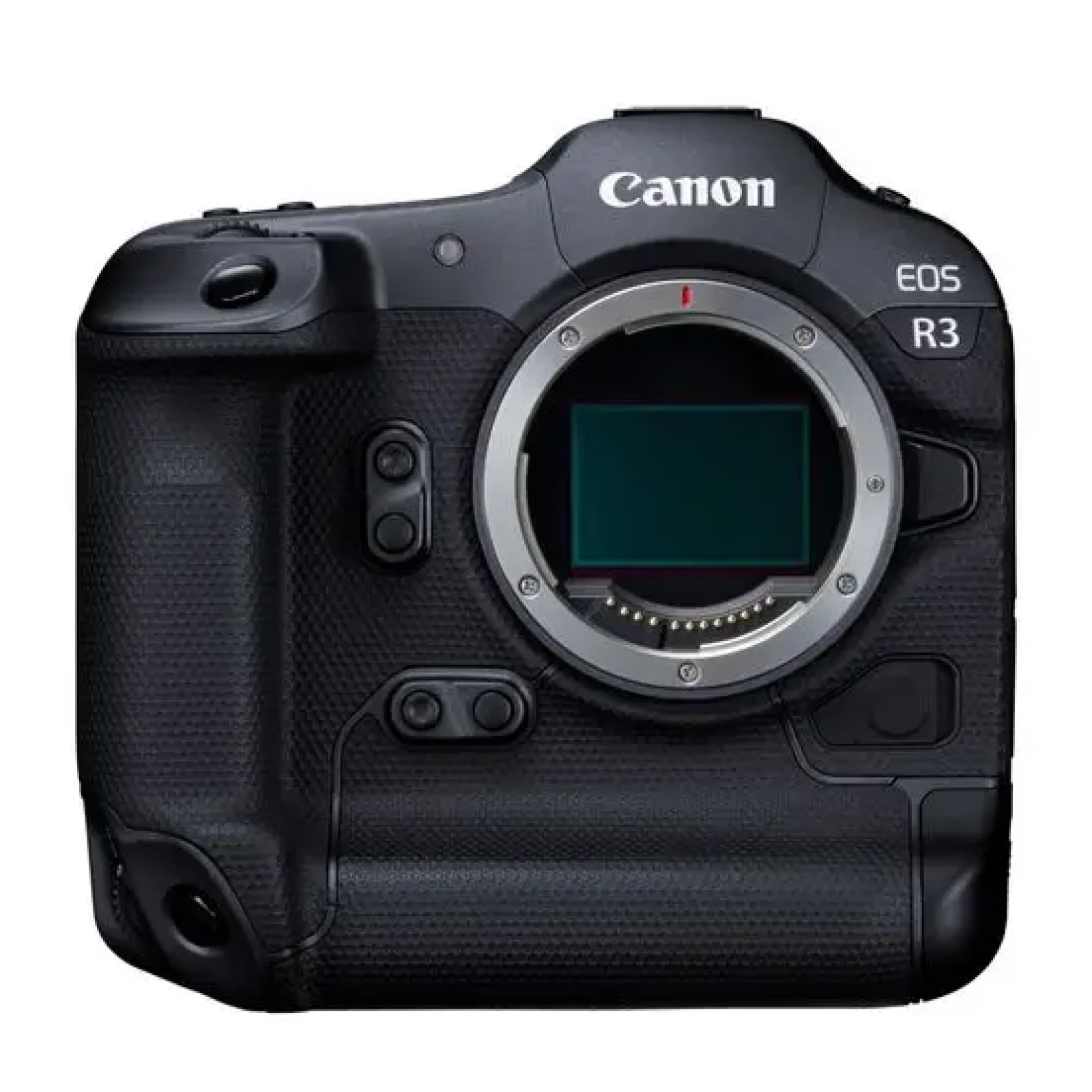 Canon R3 - Photo 1 sur 1