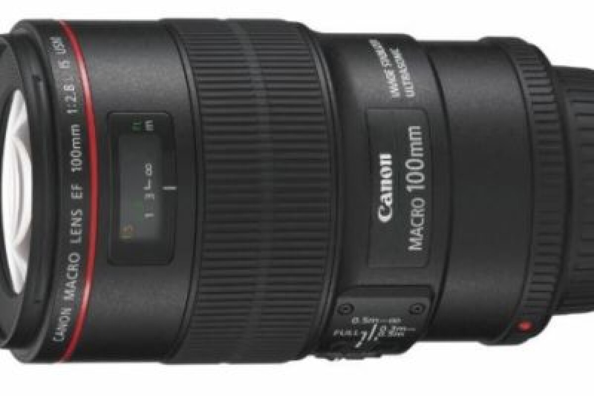 Location Canon 100 mm F/2.8 L IS - Lightyshare