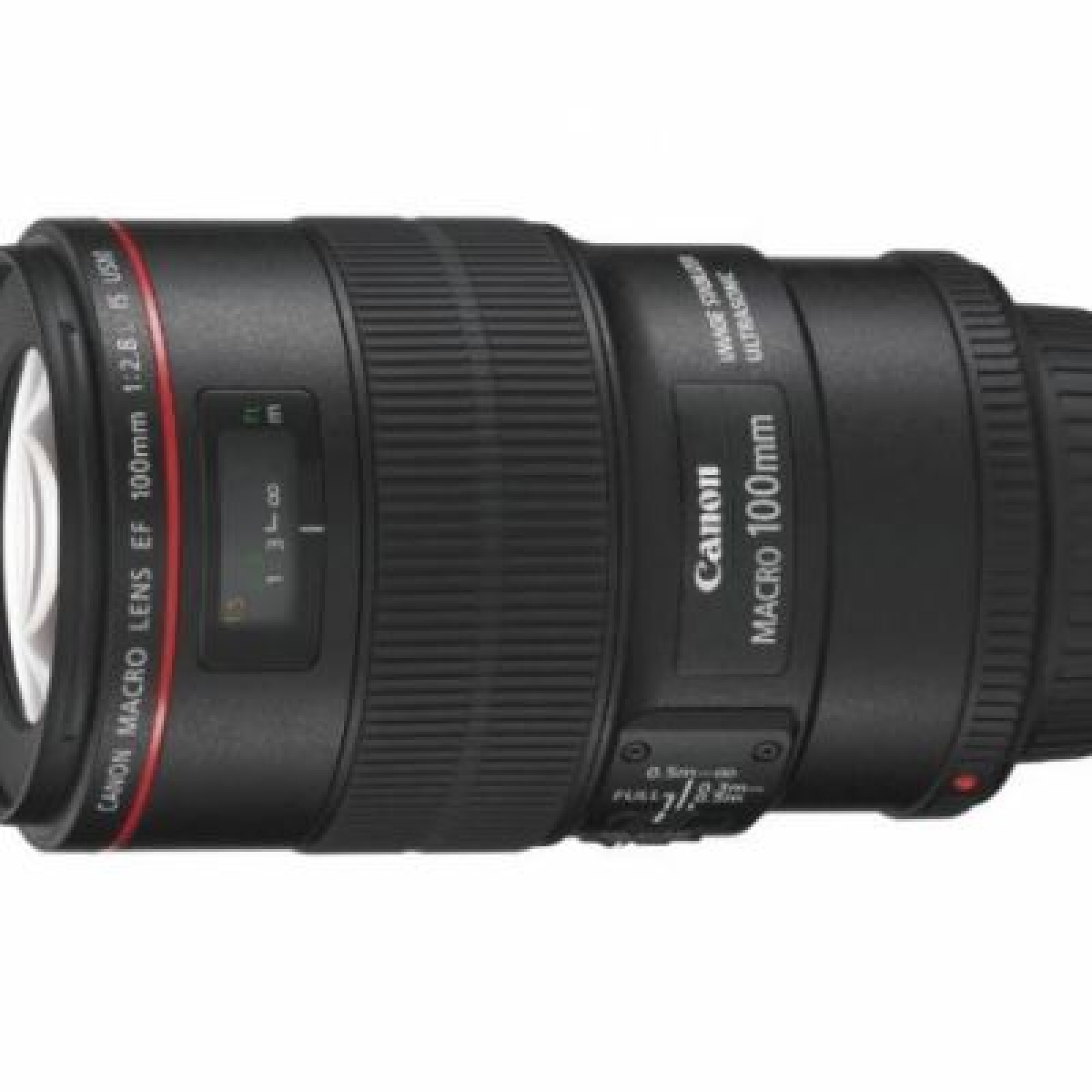 Canon 100 mm F/2.8 L IS - Photo 1 sur 1