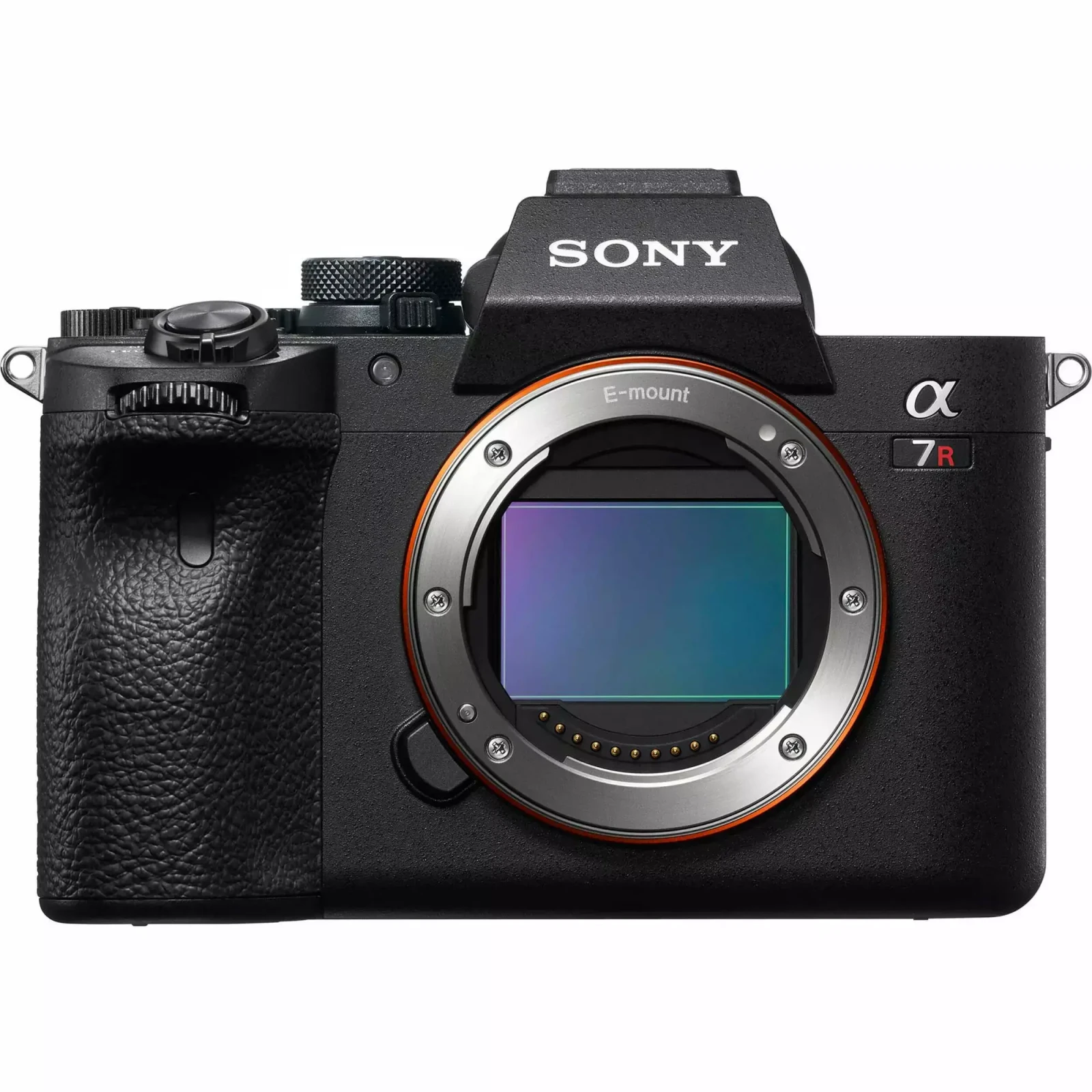 Sony A7R V - Photo 1 sur 1