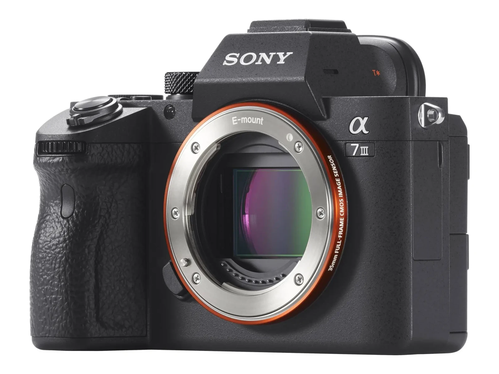 Sony A7SIII - Photo 1 sur 4