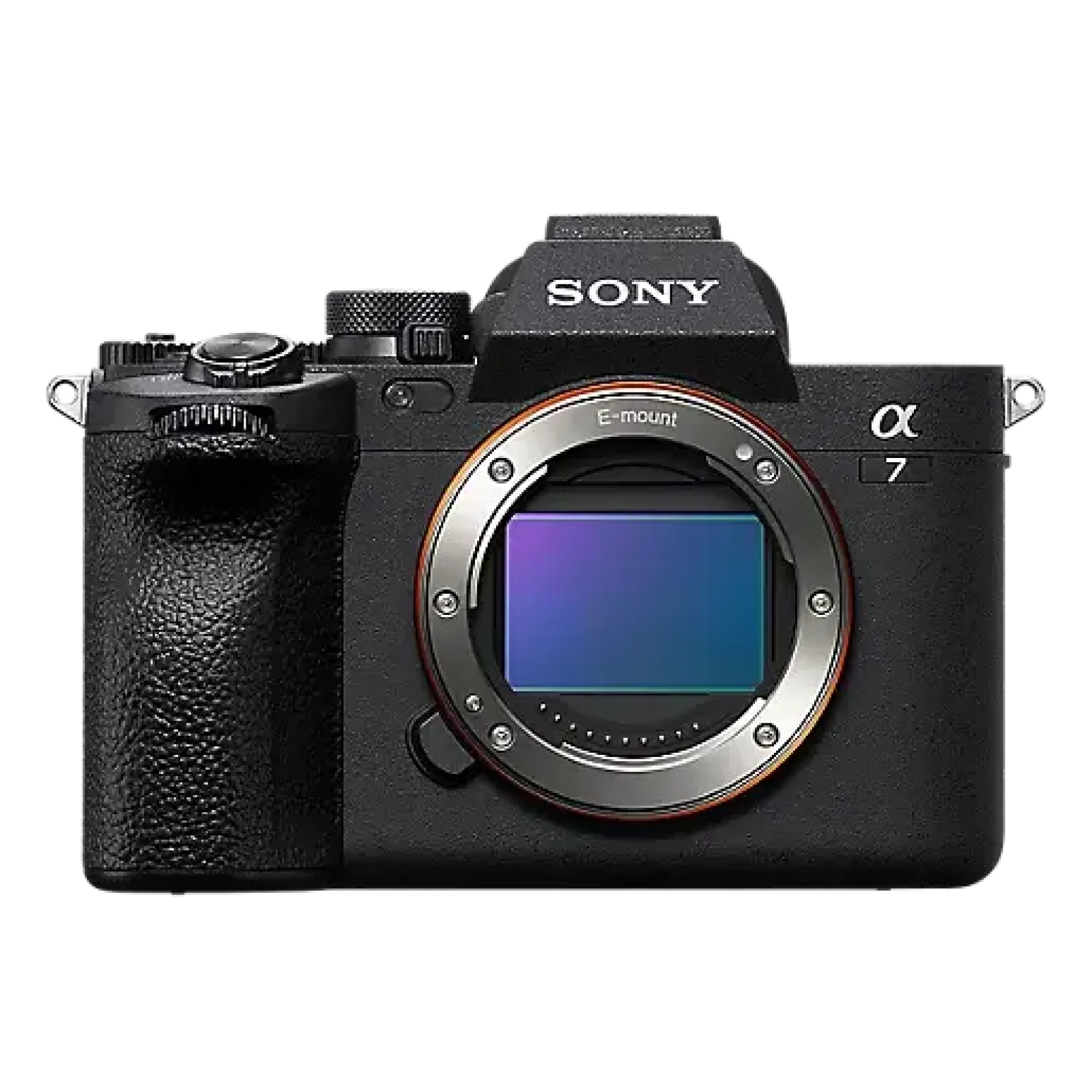 Sony Alpha 7 IV (A74) - Photo 1 sur 3