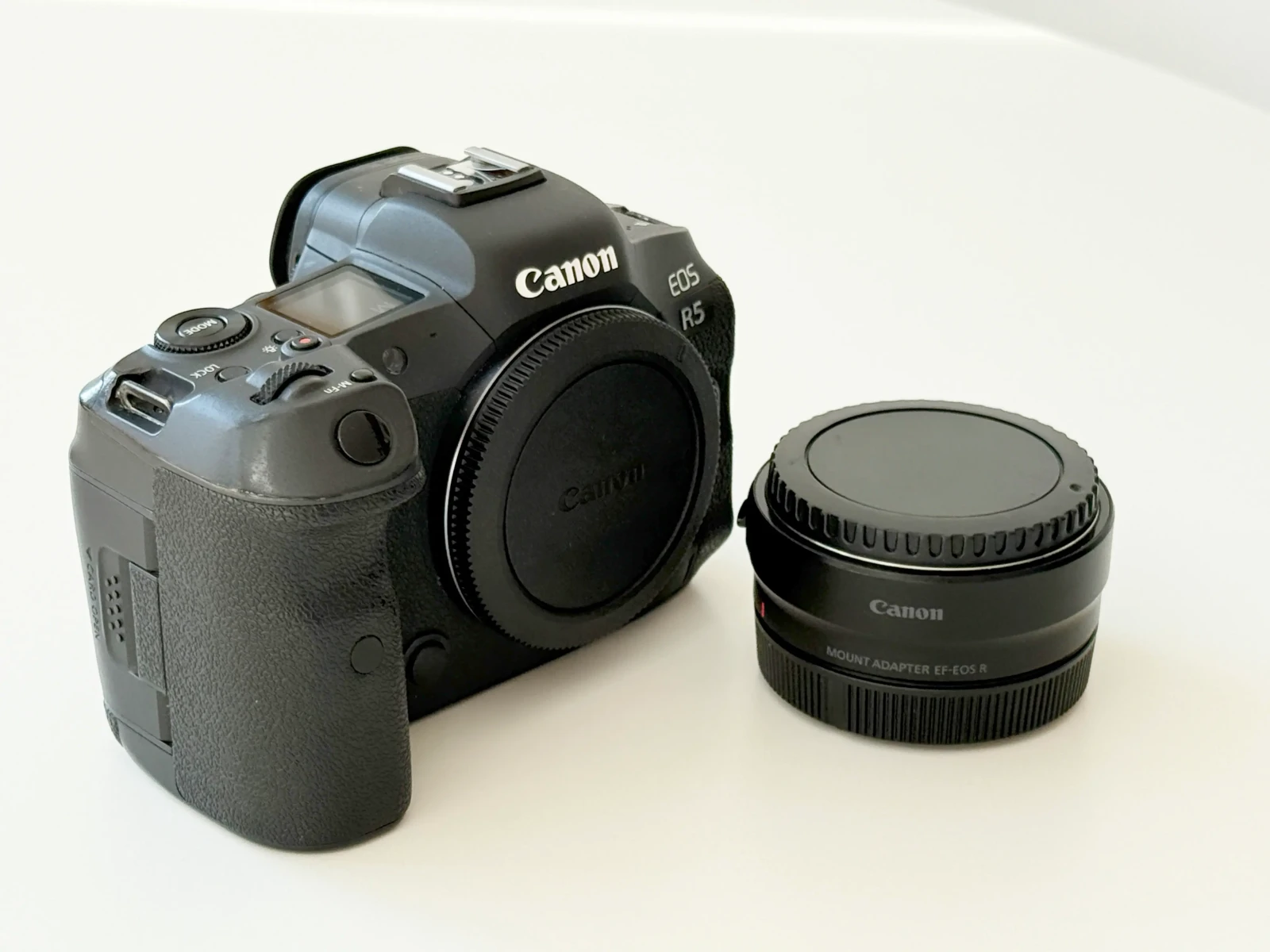 Canon EOS R5 - Photo 3 sur 4