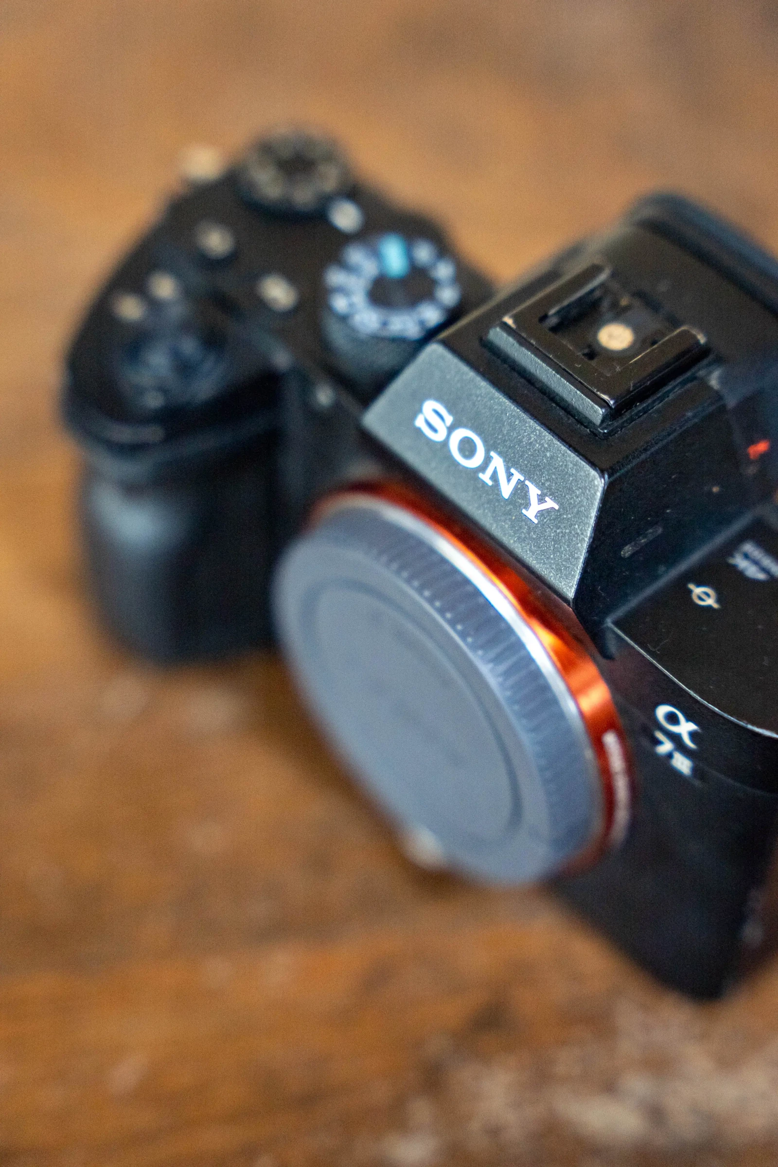 Sony Alpha 7 III (A73) - Photo 2 sur 2