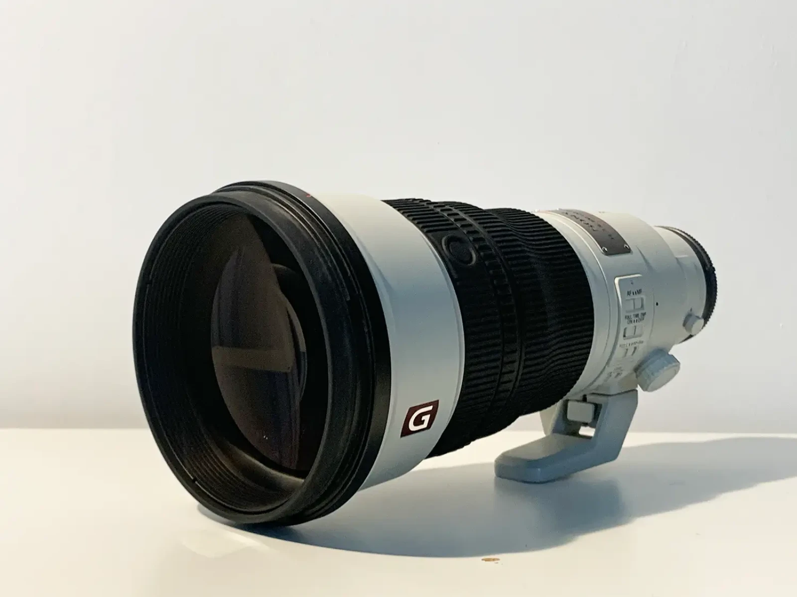Sony FE 300 mm F2.8 GM OSS - Photo 2 sur 4