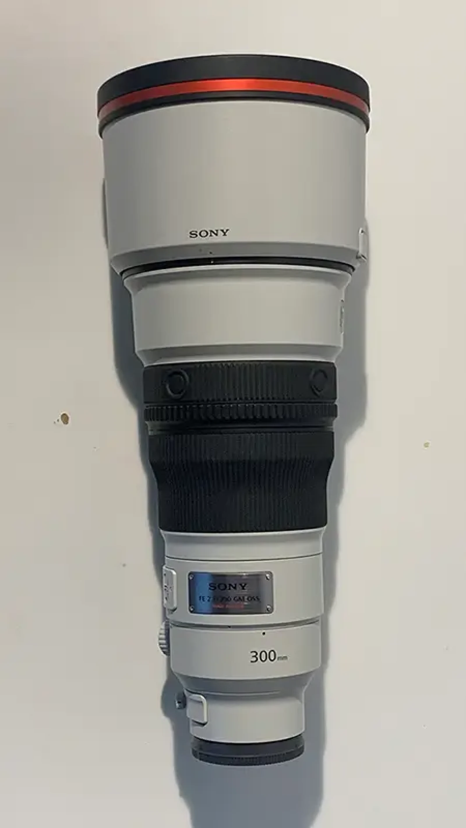 Sony FE 300 mm F2.8 GM OSS - Photo 1 sur 4