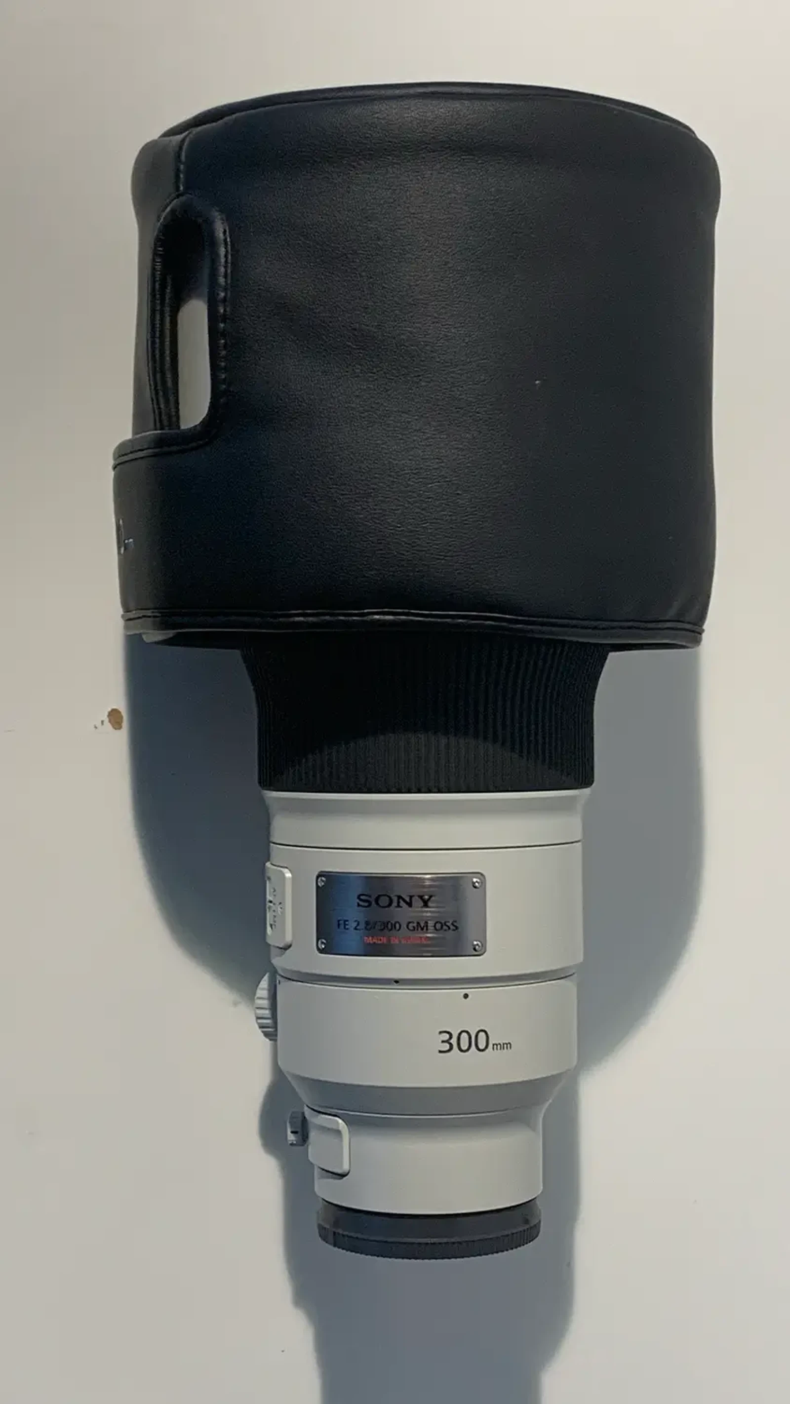 Sony FE 300 mm F2.8 GM OSS - Photo 3 sur 4