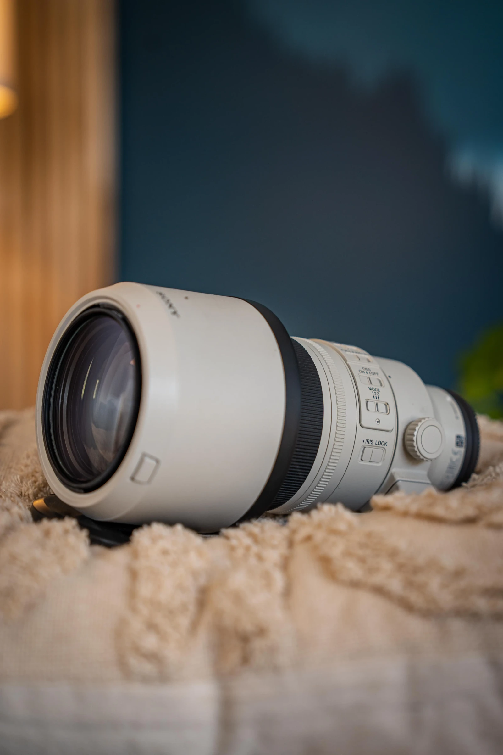 Sony 70-200mm f/2.8 GM II - Photo 2 sur 2