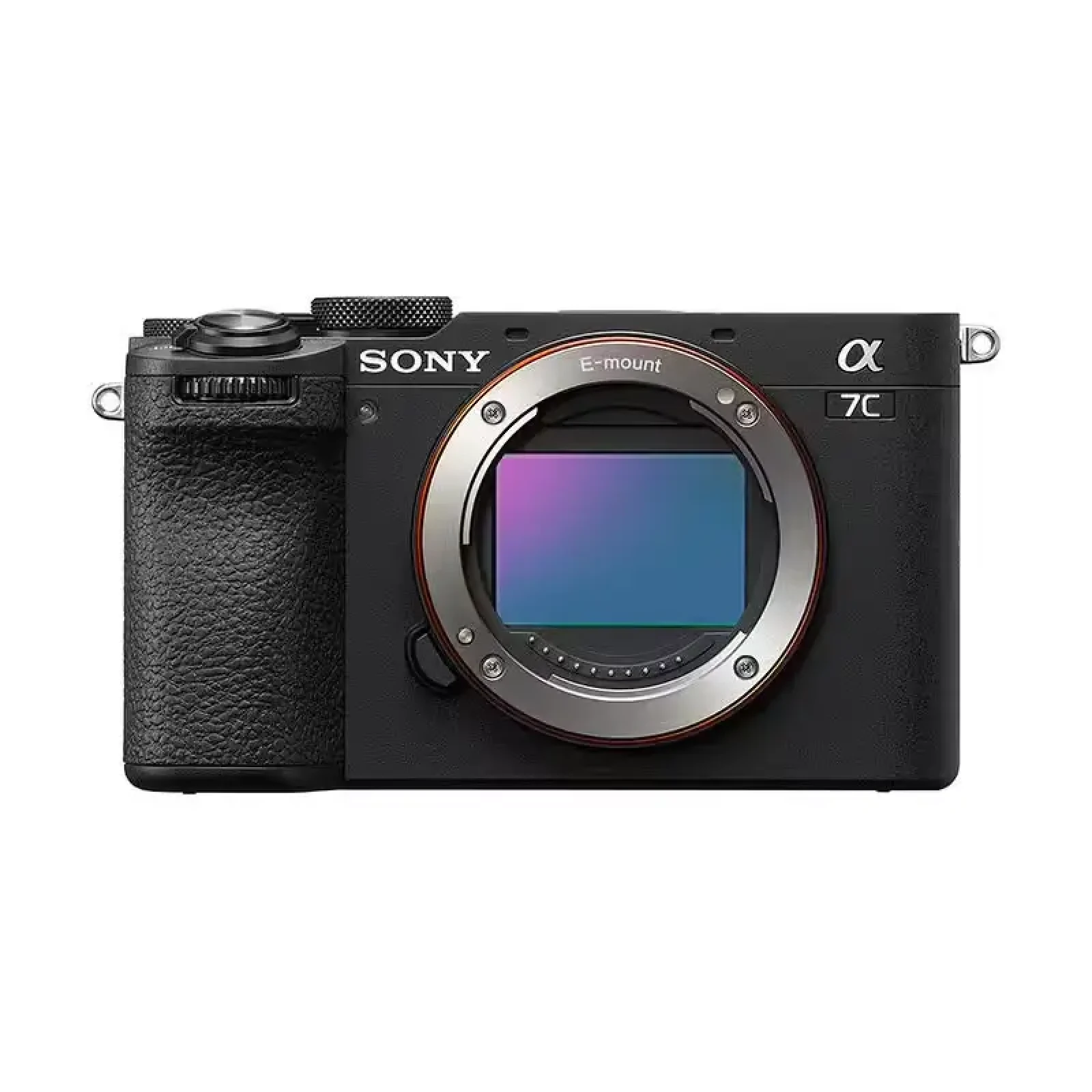 Sony Alpha 7C 2 - Photo 1 sur 1