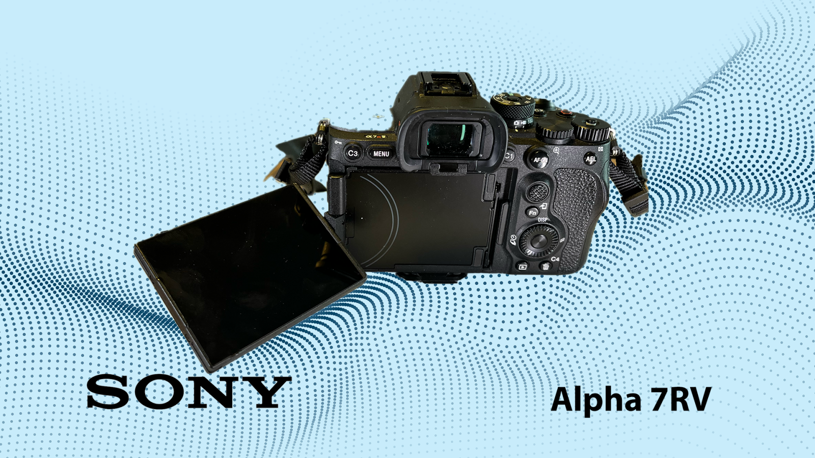 Sony Alpha 7R5 - Photo 2 sur 2