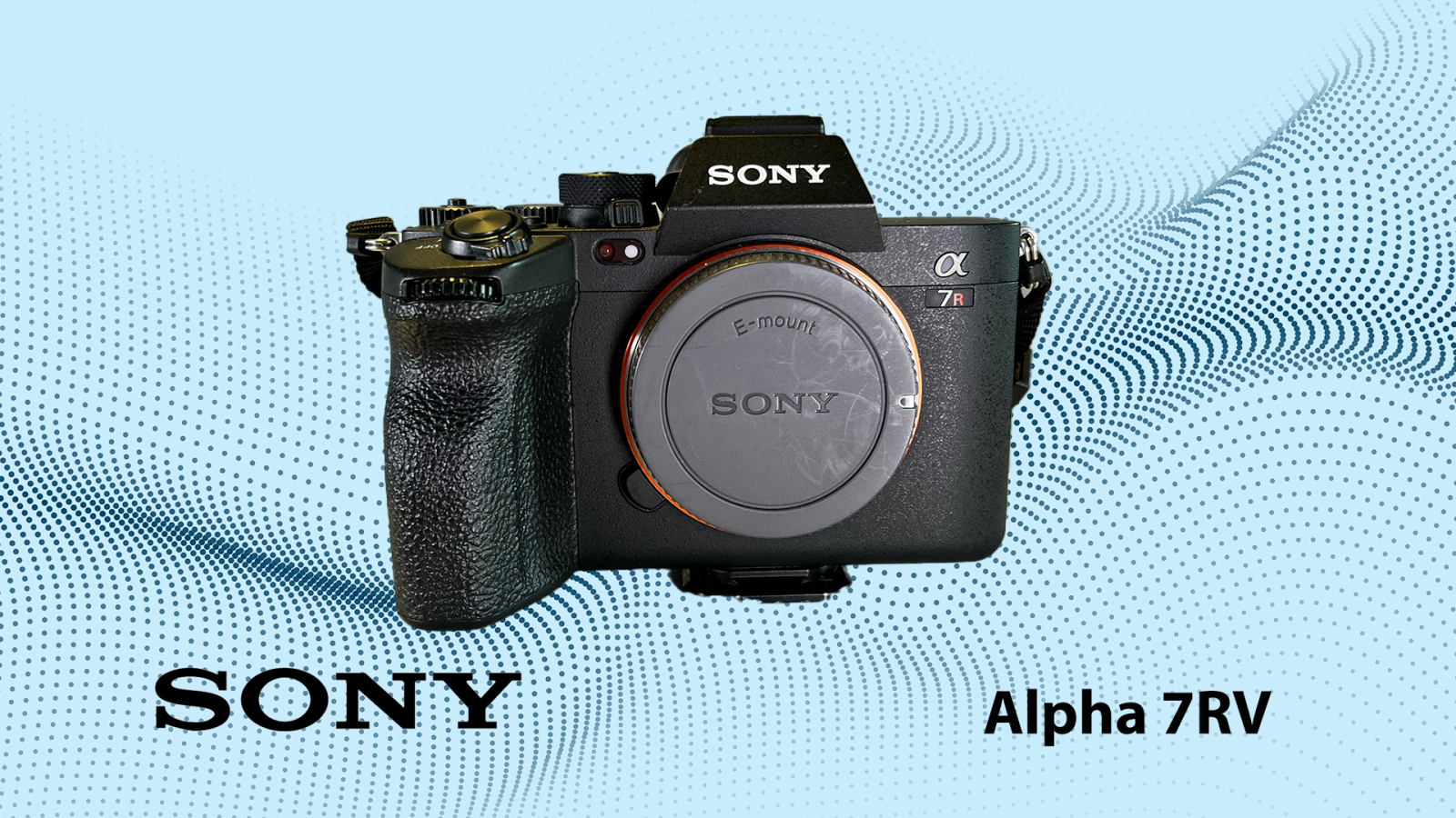 Sony Alpha 7R5 - Photo 1 sur 2
